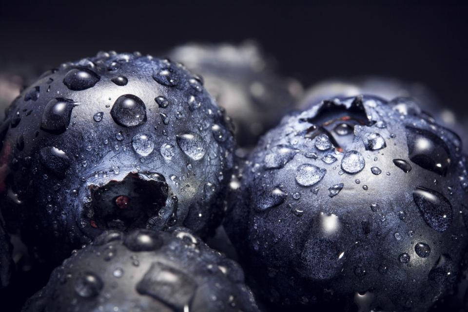 Blueberries With Water Droplets Background