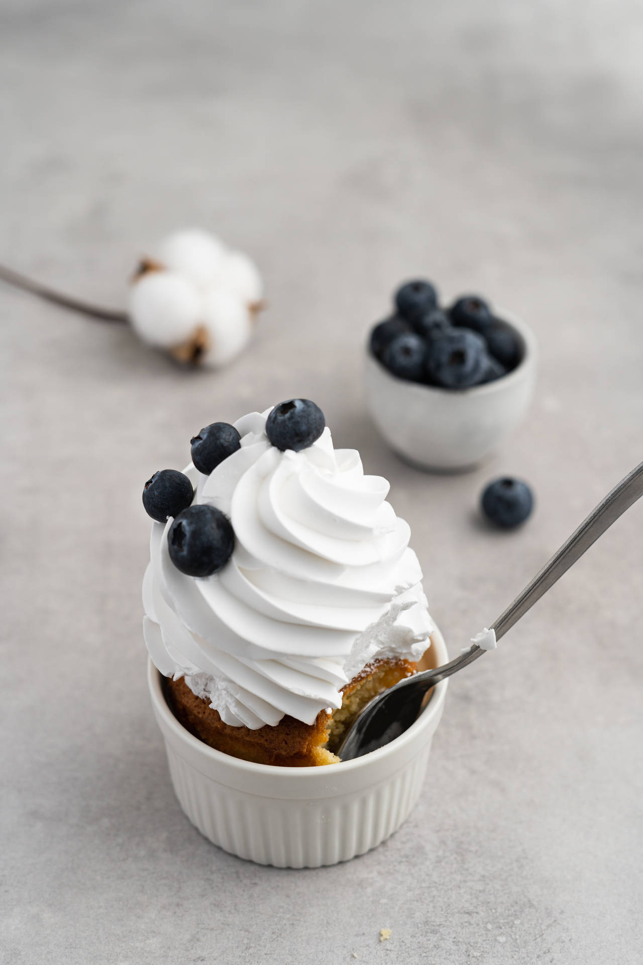Blueberry Cream Cupcake Background