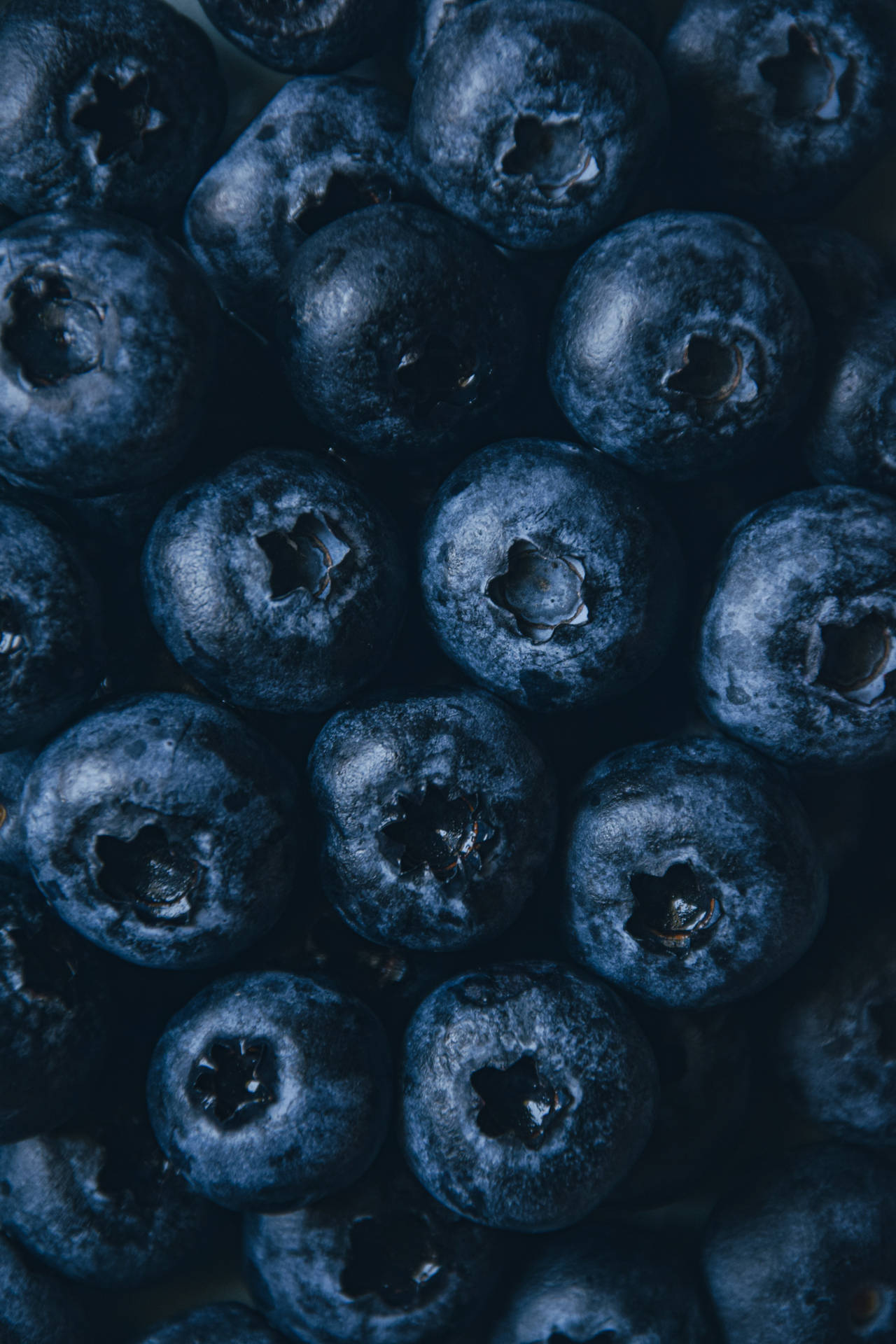 Blueberry Fruits Aesthetic Pattern Background