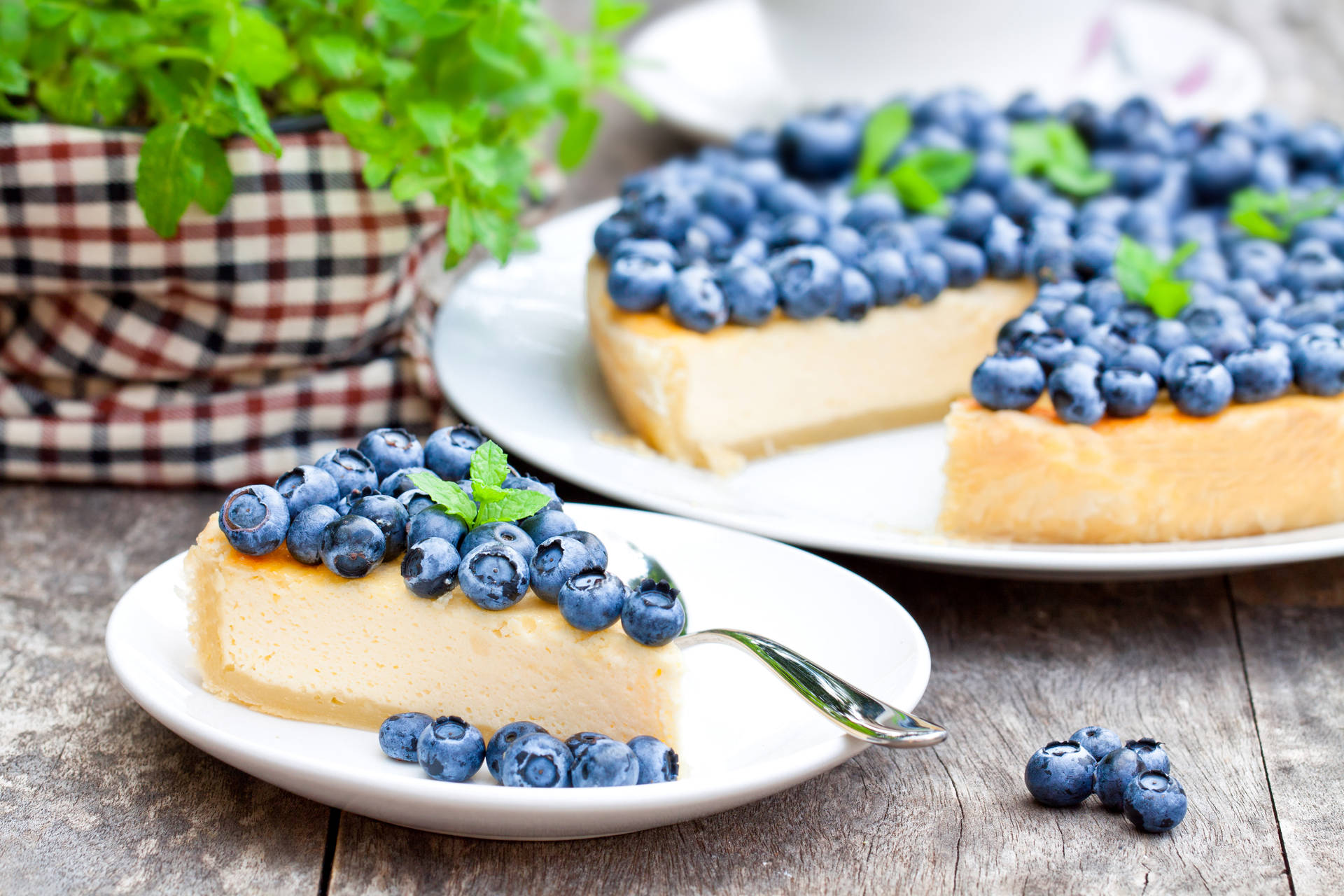 Blueberry Pie Slice On Plate Background