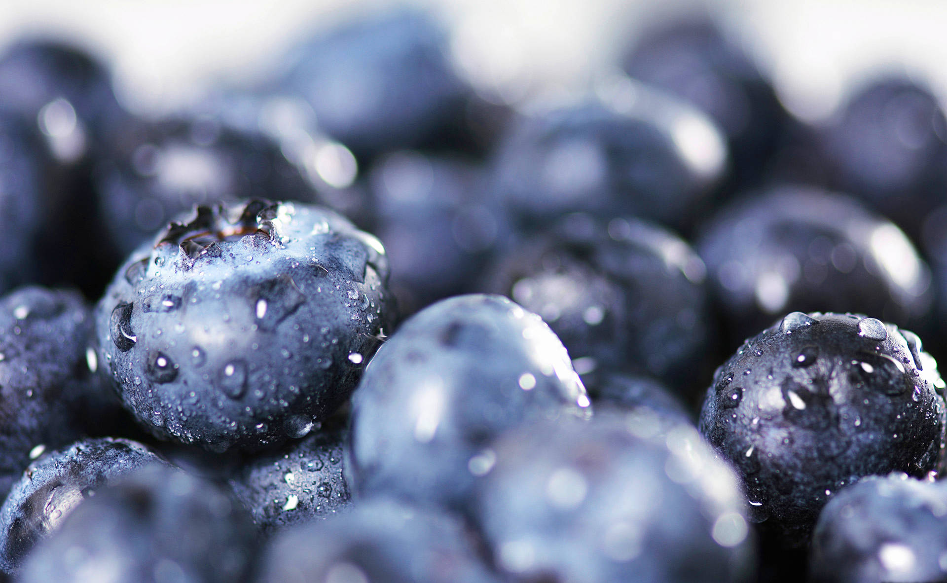 Blueberry With Waterdrops Background