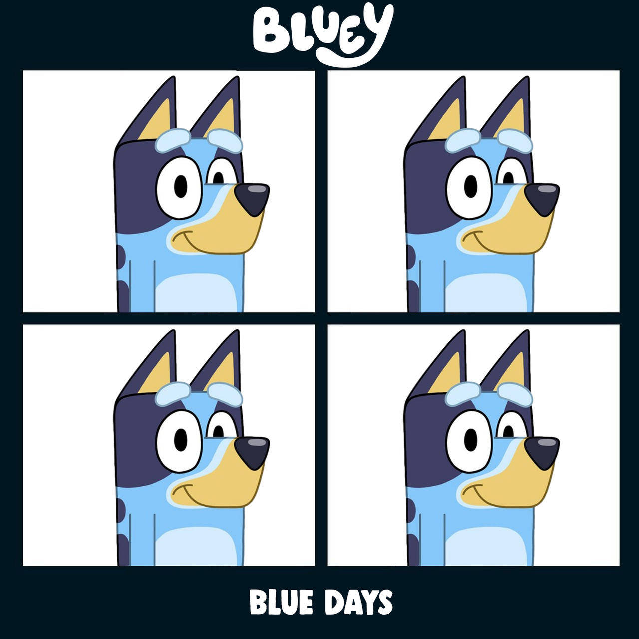Bluey Photo Grid Background