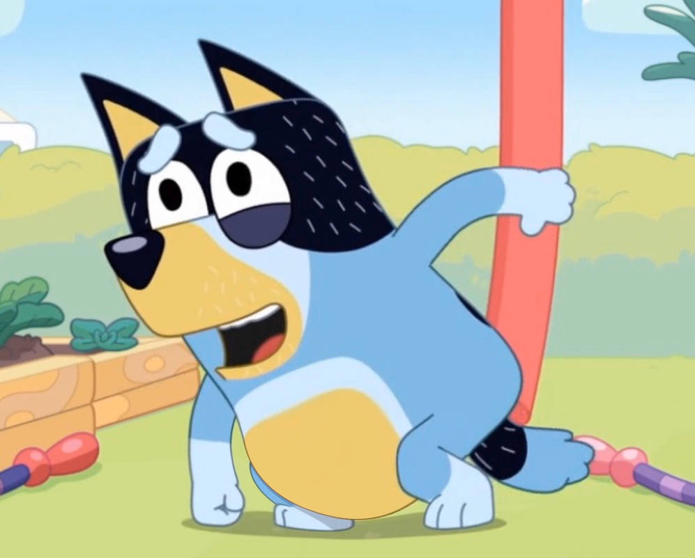 Bluey's Dad Bandit Looking Tired Background