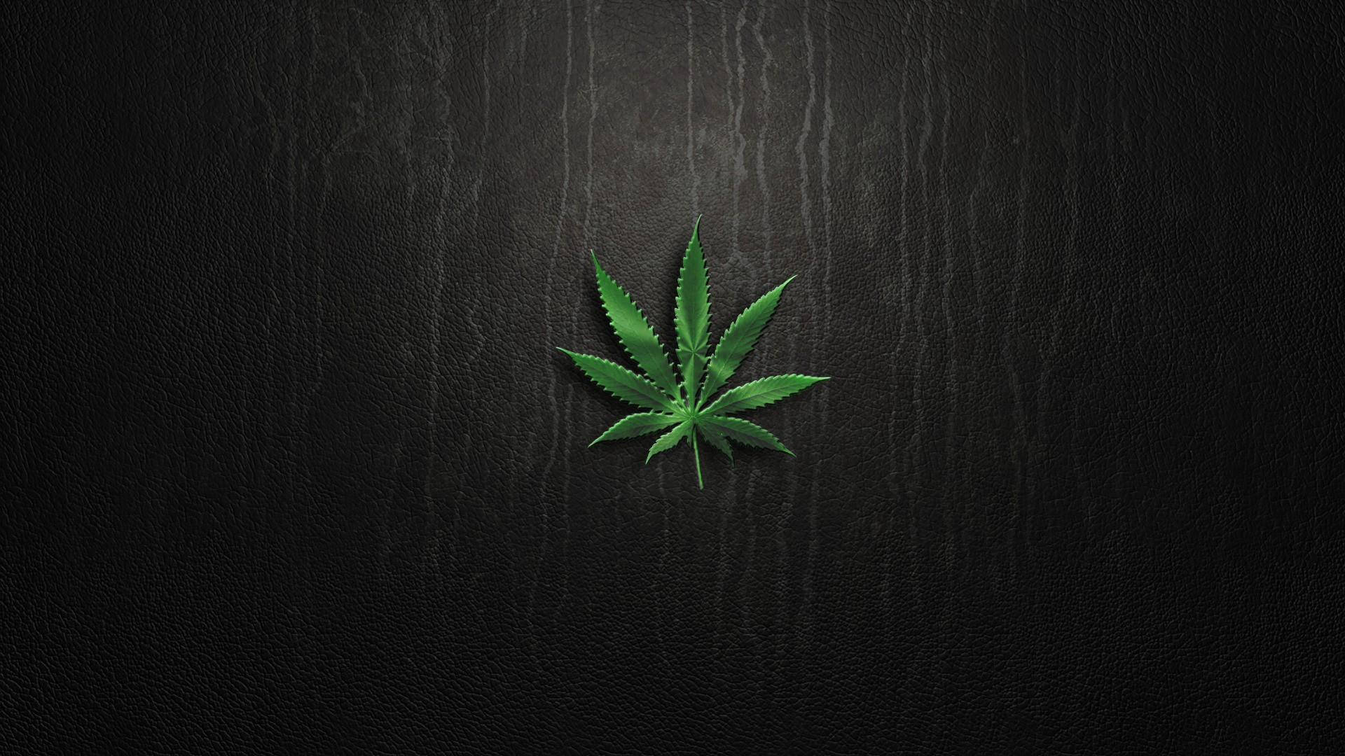 Blunt Weed Plant On Dark Wood Background