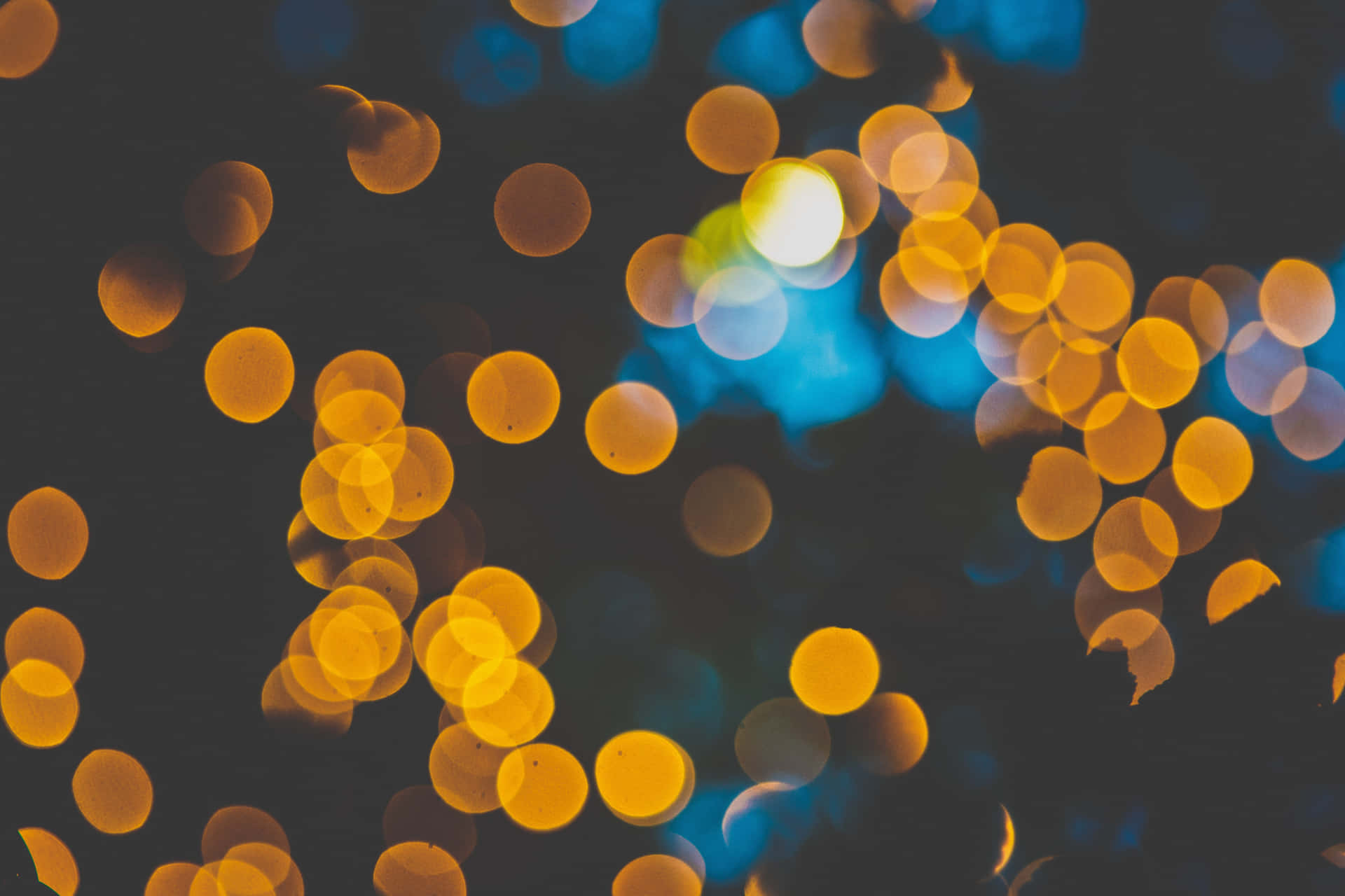 Blurey Yellow Bokeh Portrait