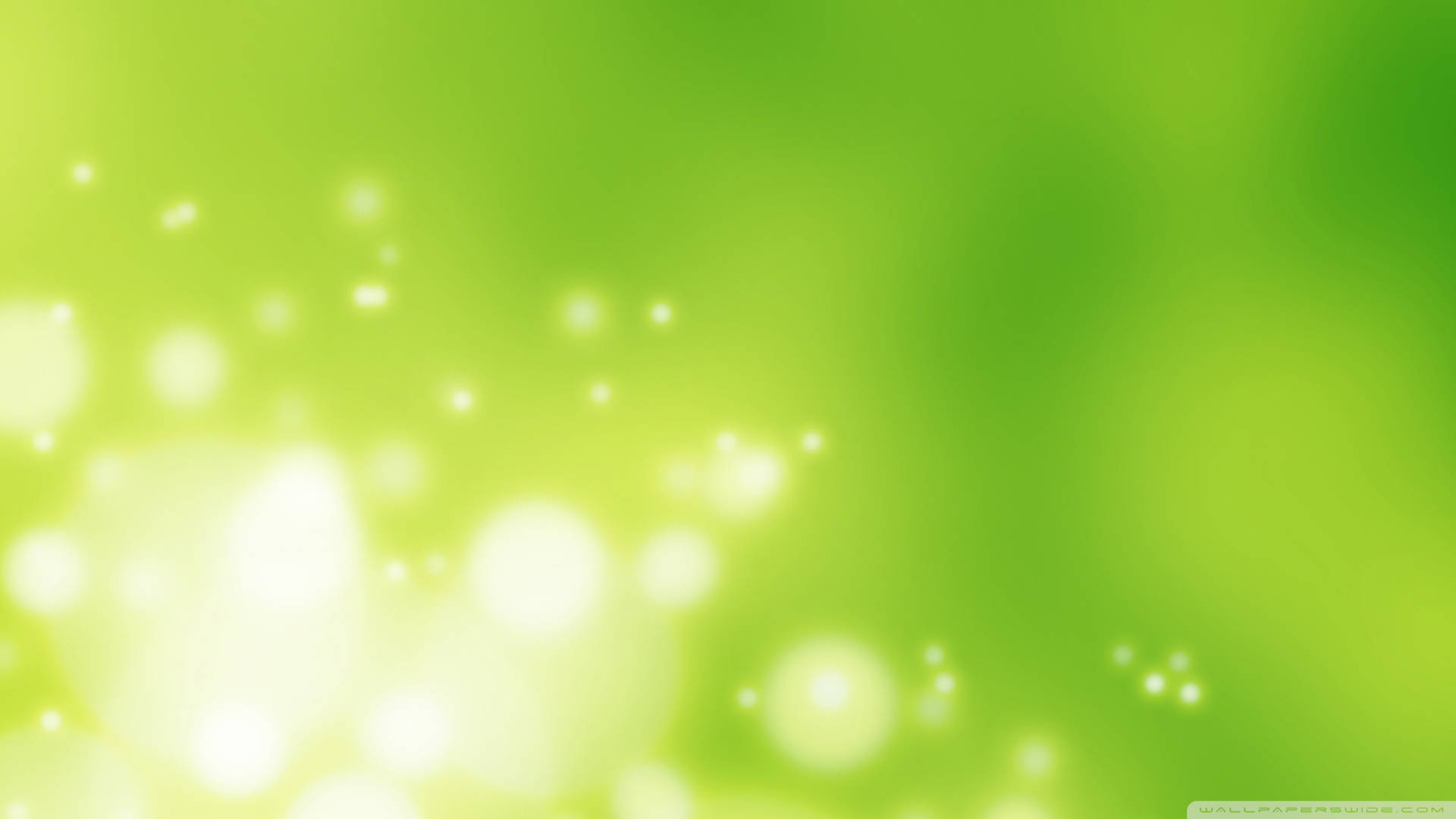Blurred Radiant Bokeh On Light Green Plain Background
