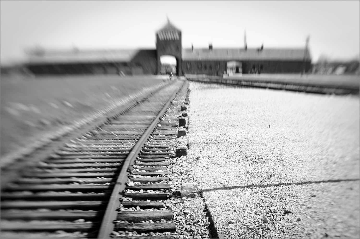 Blurry Auschwitz Birkenau Concentration Camp Background