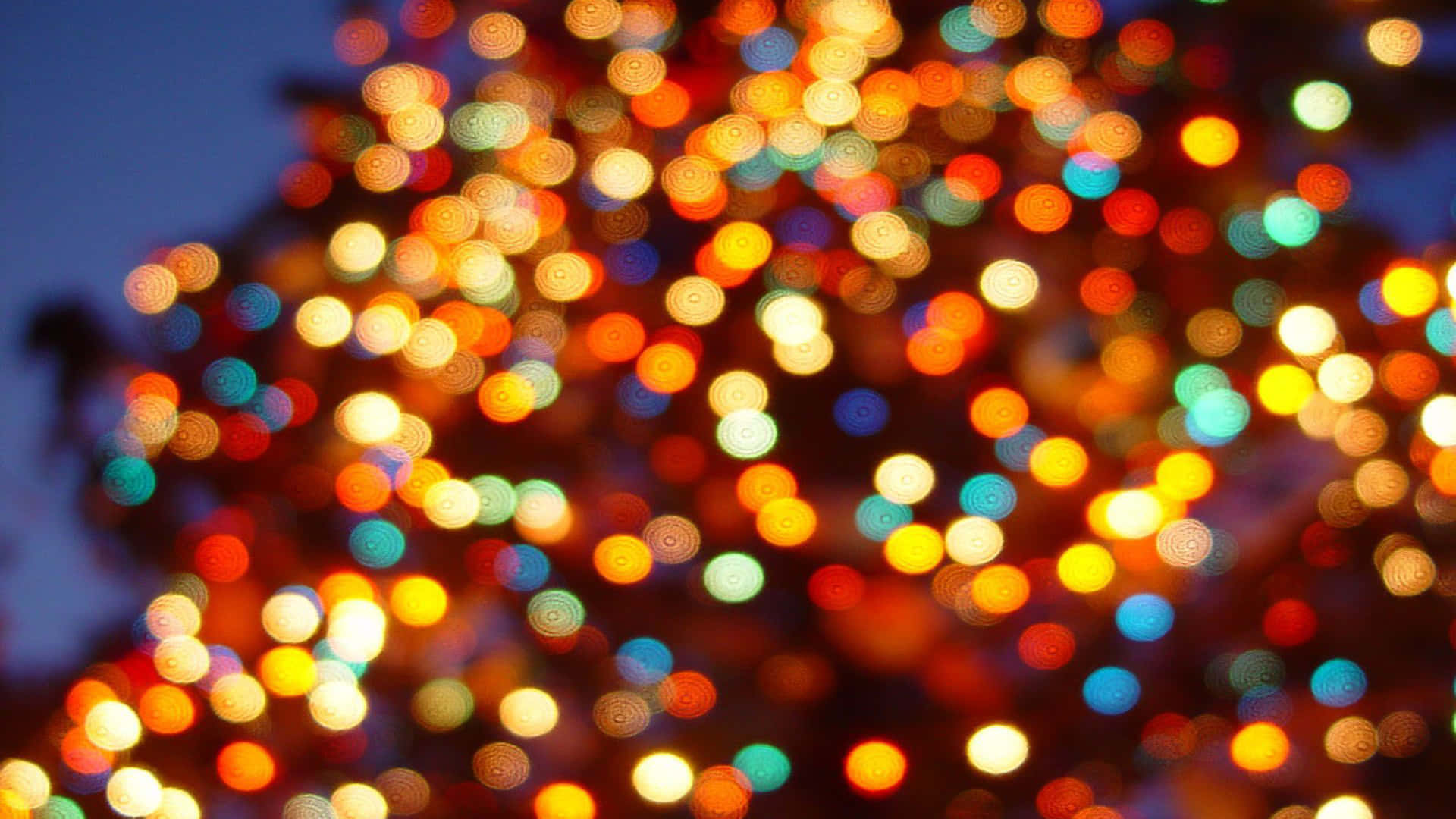 Blurry Christmas Colorful Lights Background