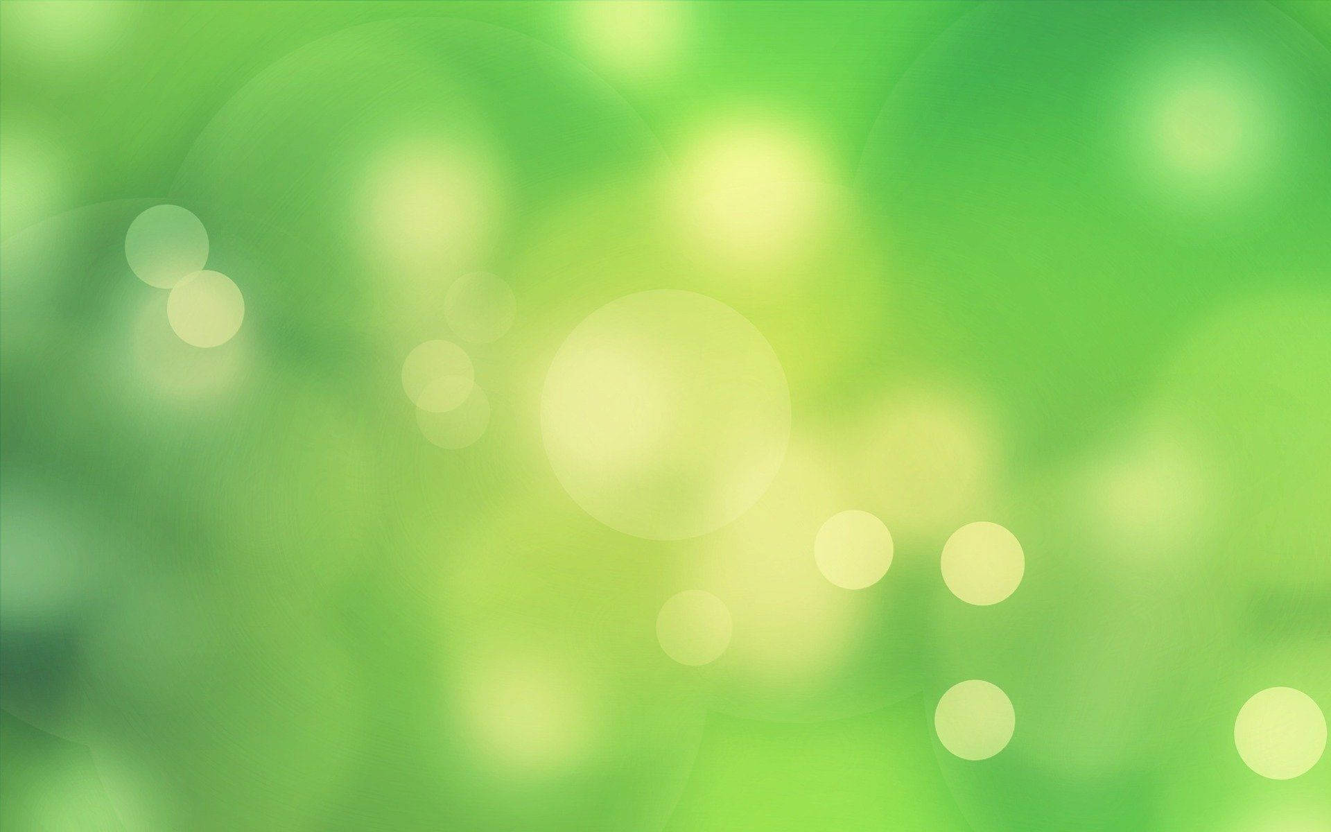 Blurry Green Light Background
