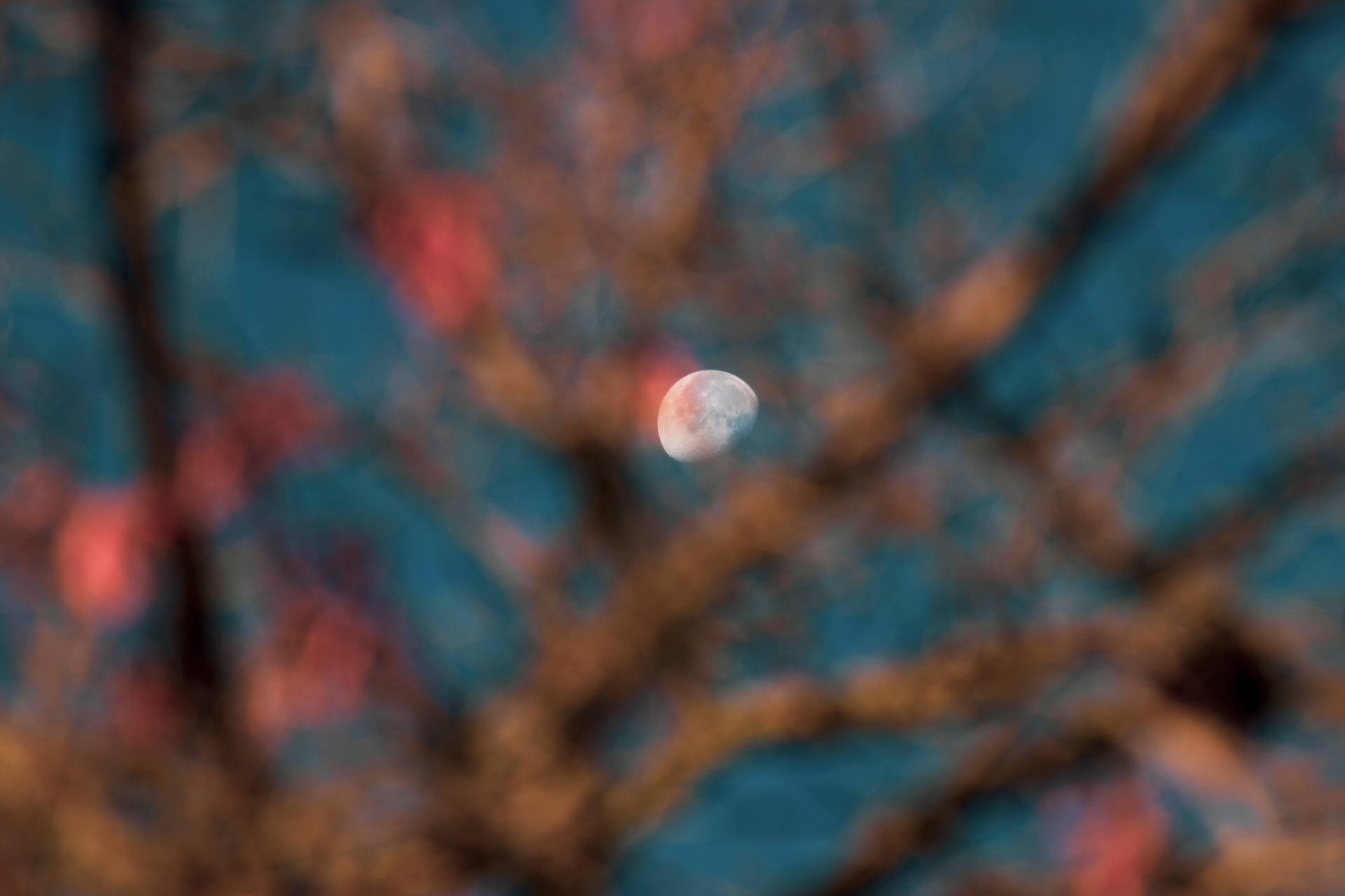 Blurry Moon Desktop Background