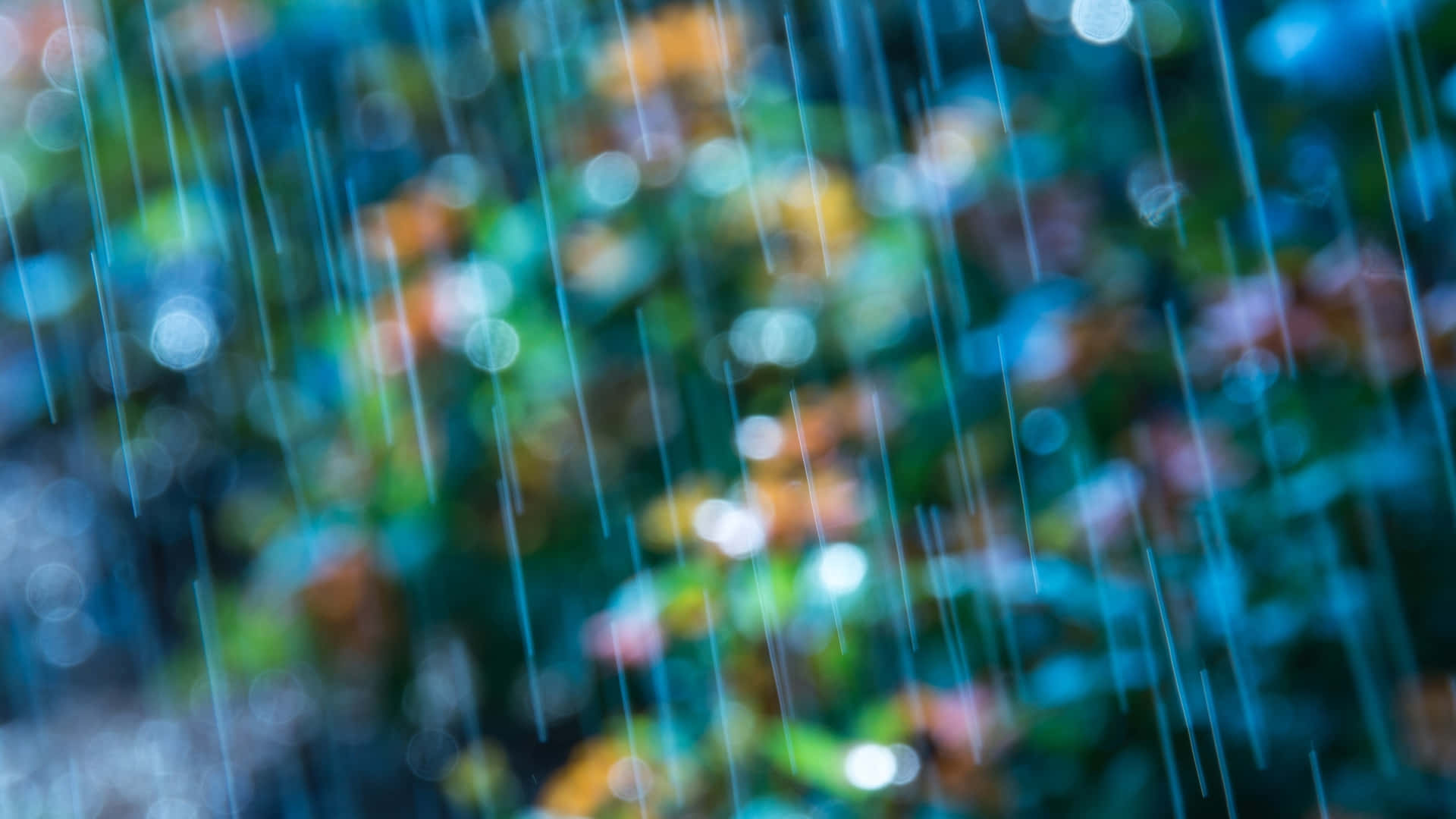 Blurry Rainfall Nature Backdrop.jpg Background