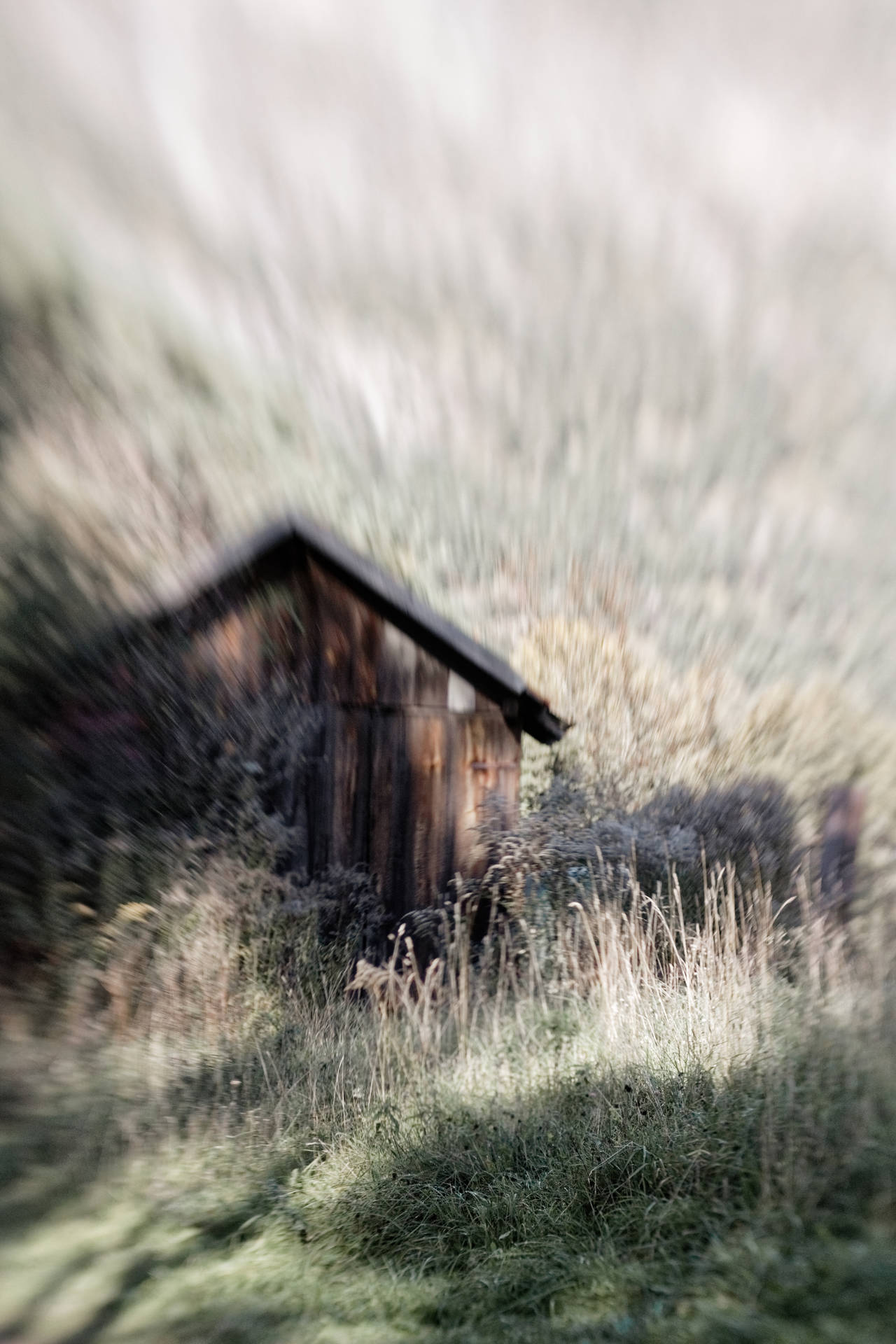 Blurry Rustic Fall Cabin Background