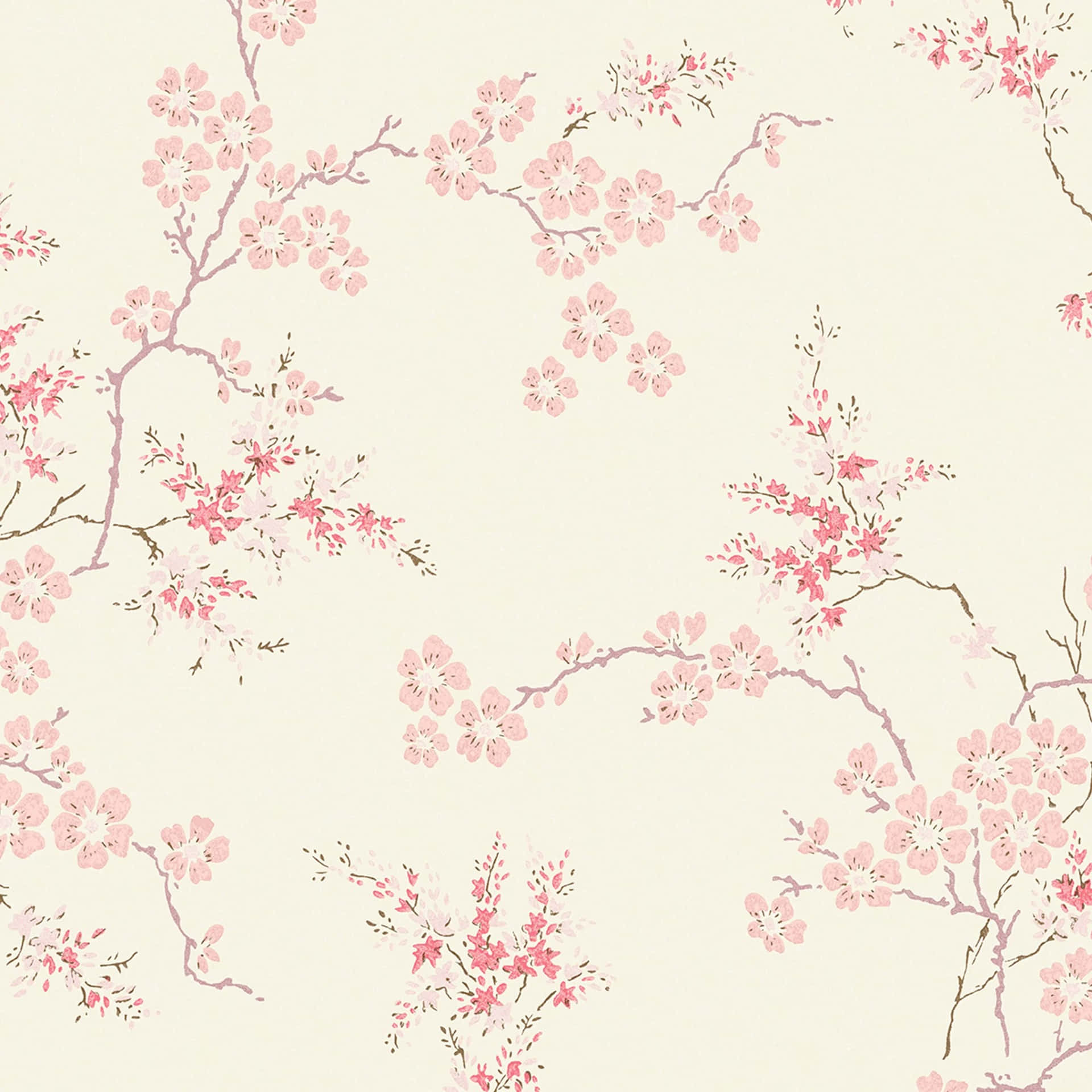 Blush Cherry Blossoms Pattern Background