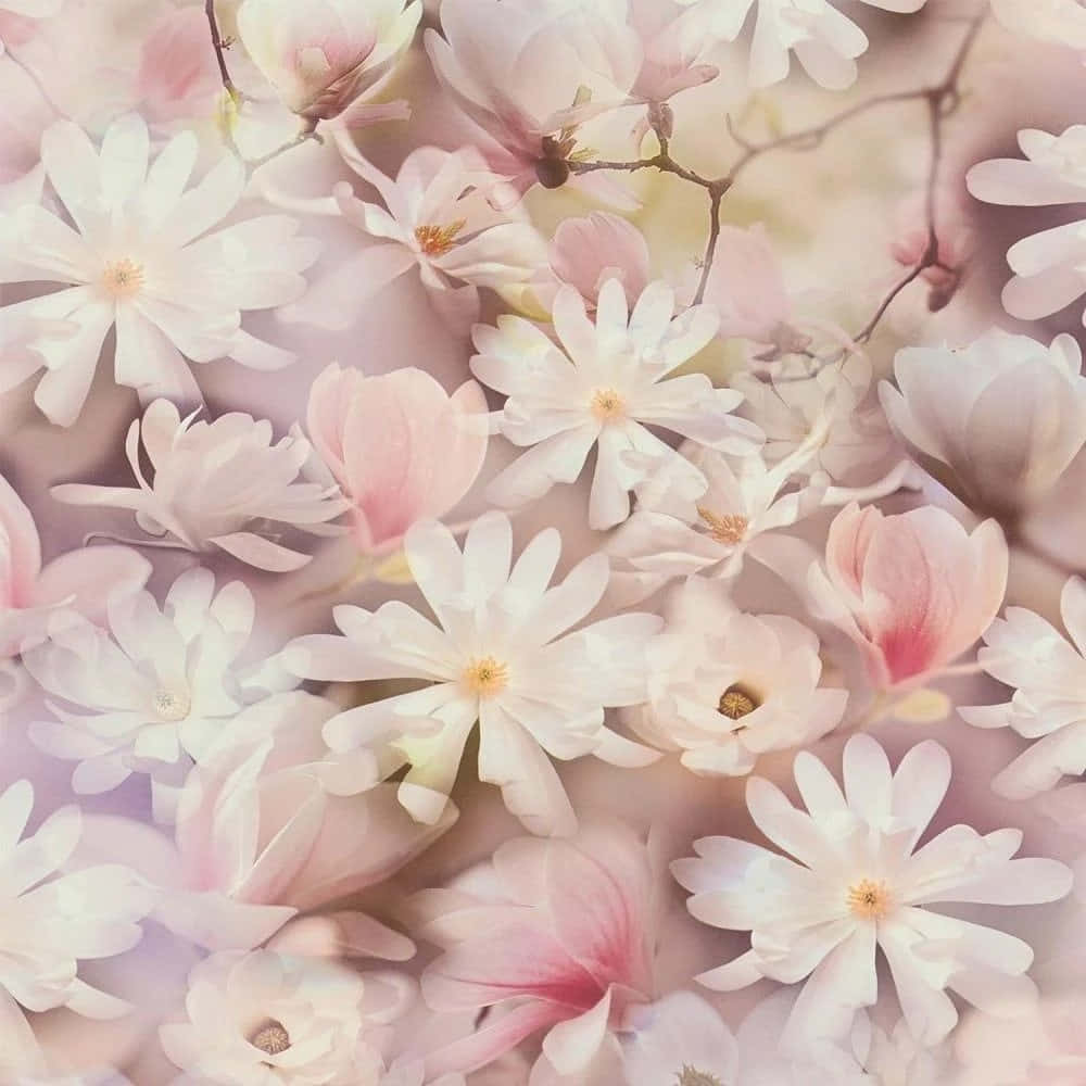 Blush Floral Dreamscape.jpg Background