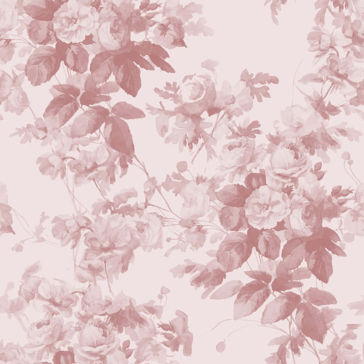 Blush_ Floral_ Pattern_ Background Background