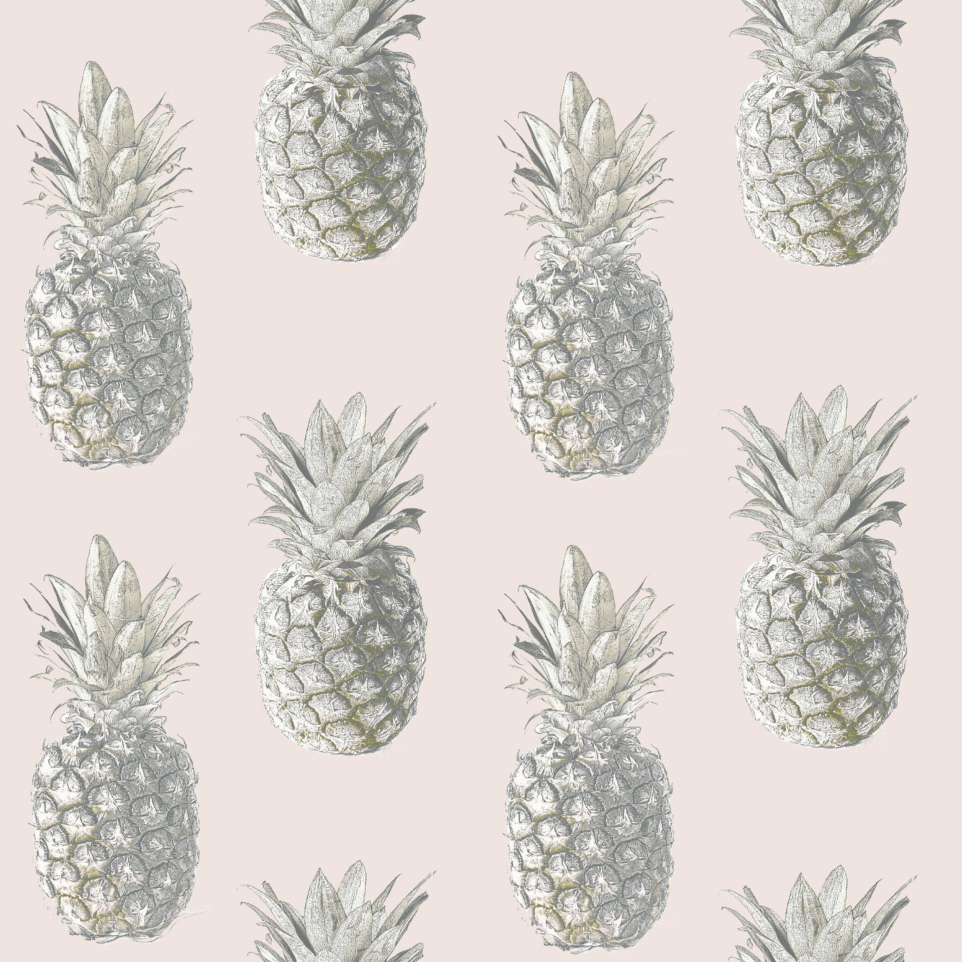 Blush Pink Pineapple Pattern Background