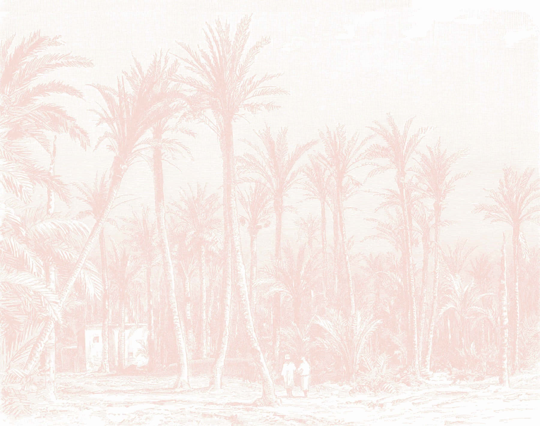 Blush Toned Palm Grove Background
