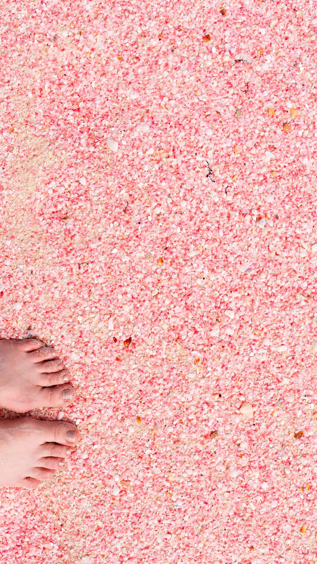 Blushing Pink Beach Paradise At Sunset Background
