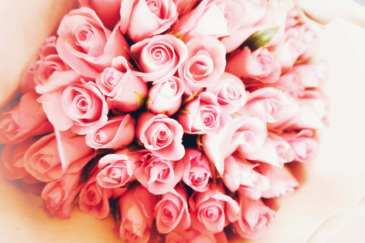 Blushing Pink Roses Bouquet Background