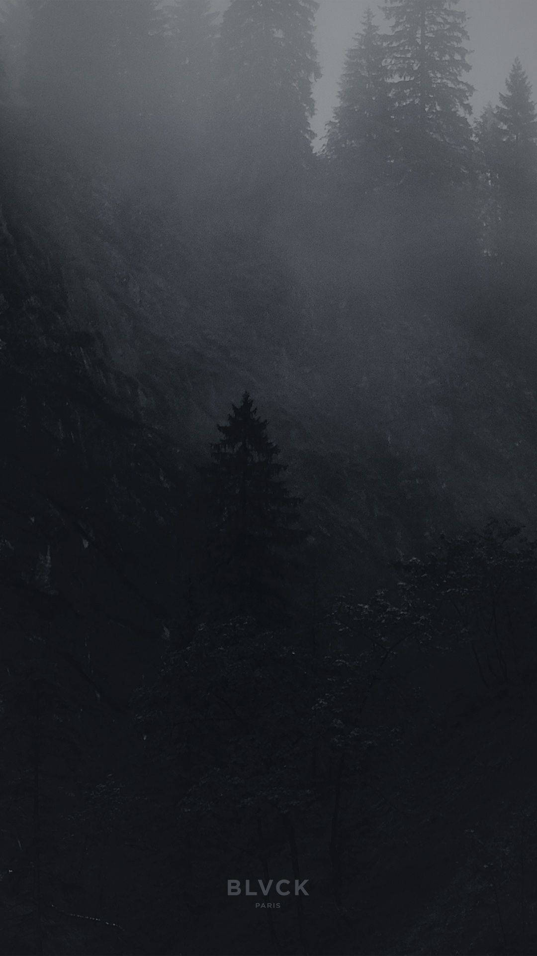 Blvck Paris Foggy Forest Background