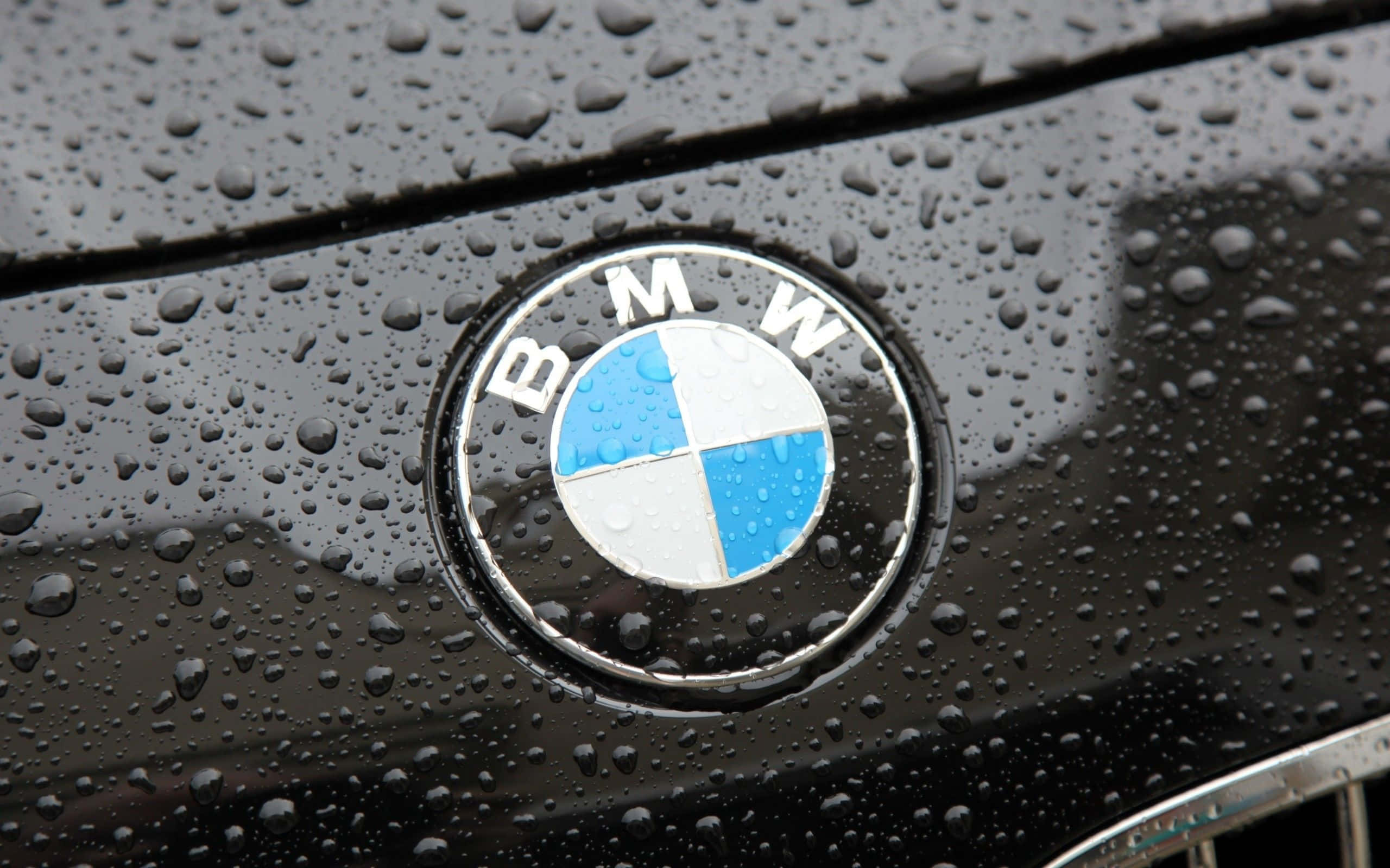 Bmw Logo Emblem Background