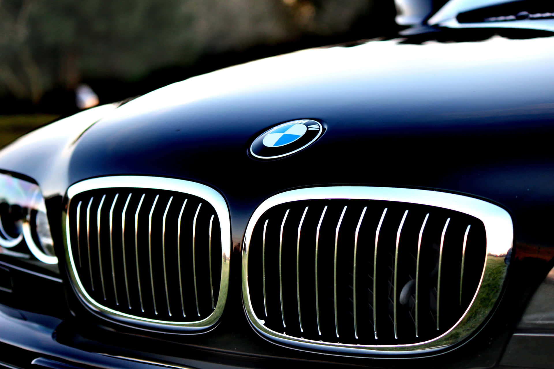 Bmw Logo Background