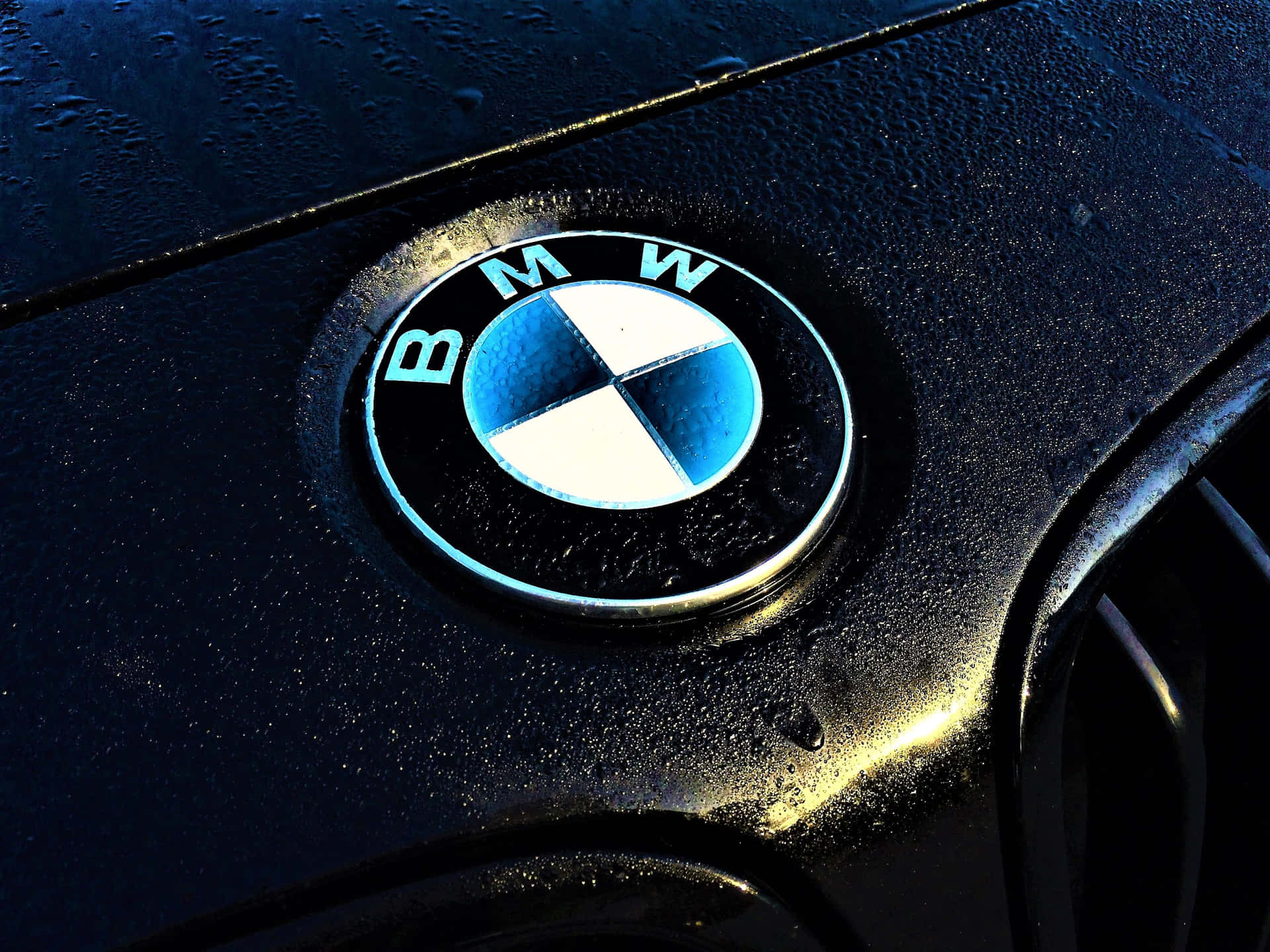 Bmw Logotype Stands Out Against An Empty Background Background