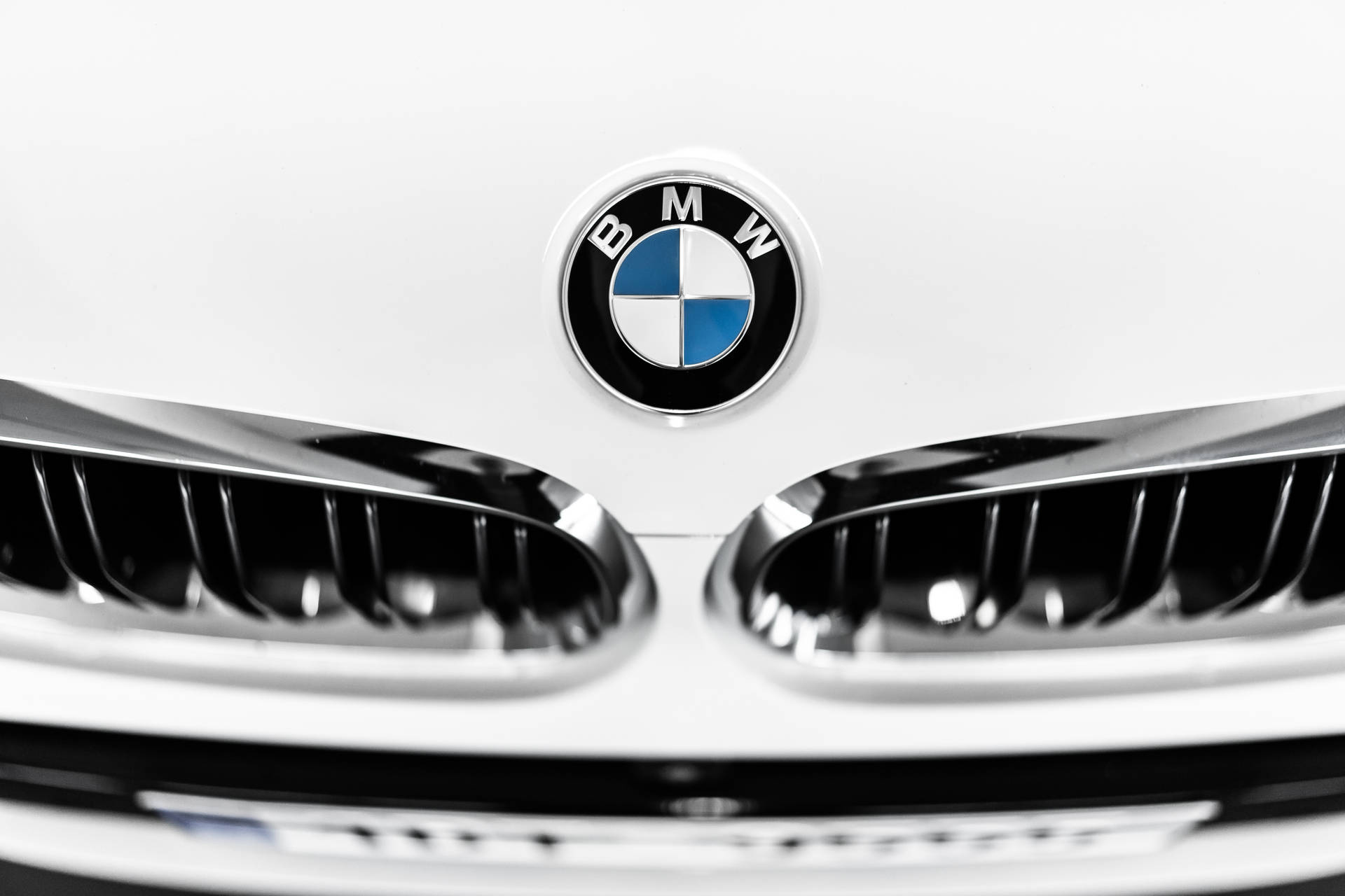 Bmw Luxury Car Logo On Hood Landscape Background