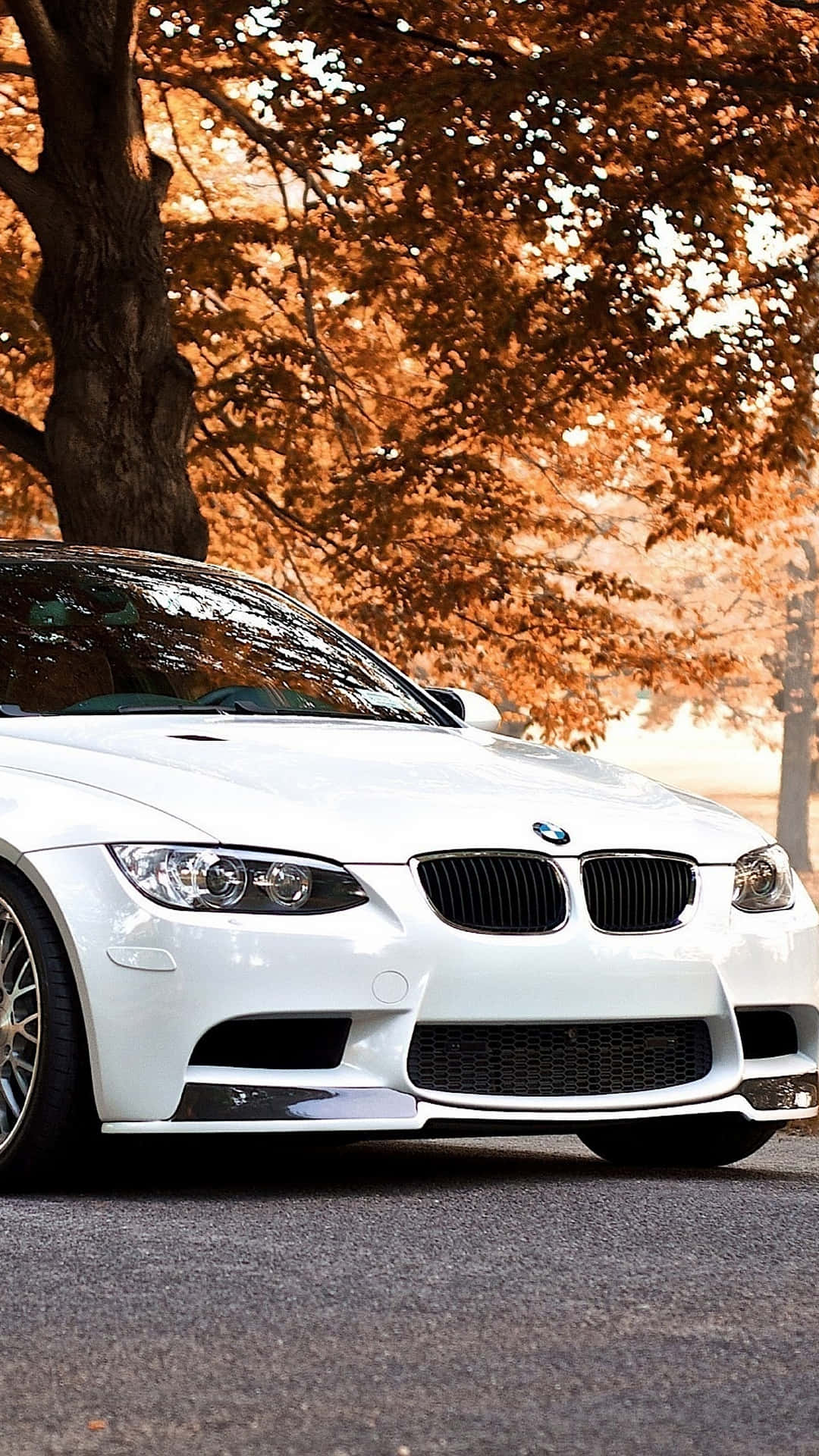 Bmw M3 Wallpapers - Bmw M3 Wallpapers Background