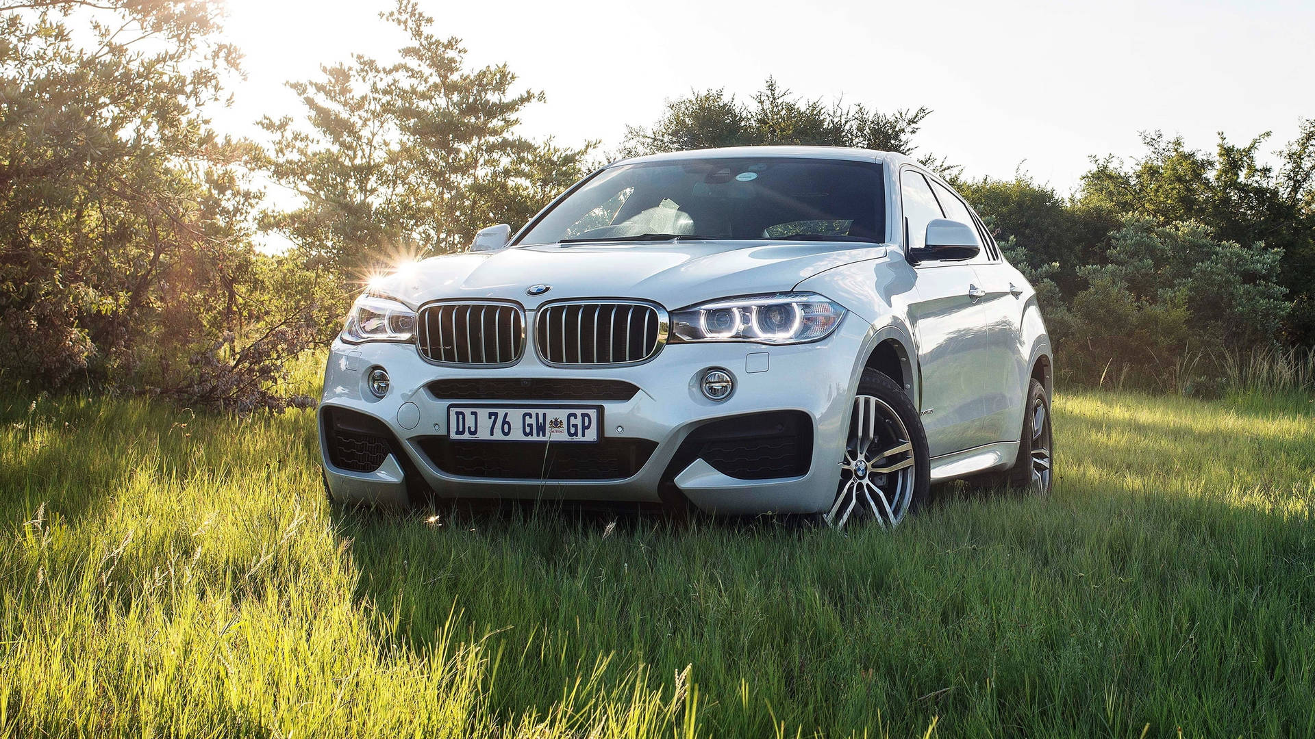 Bmw X6 M At A Green Field