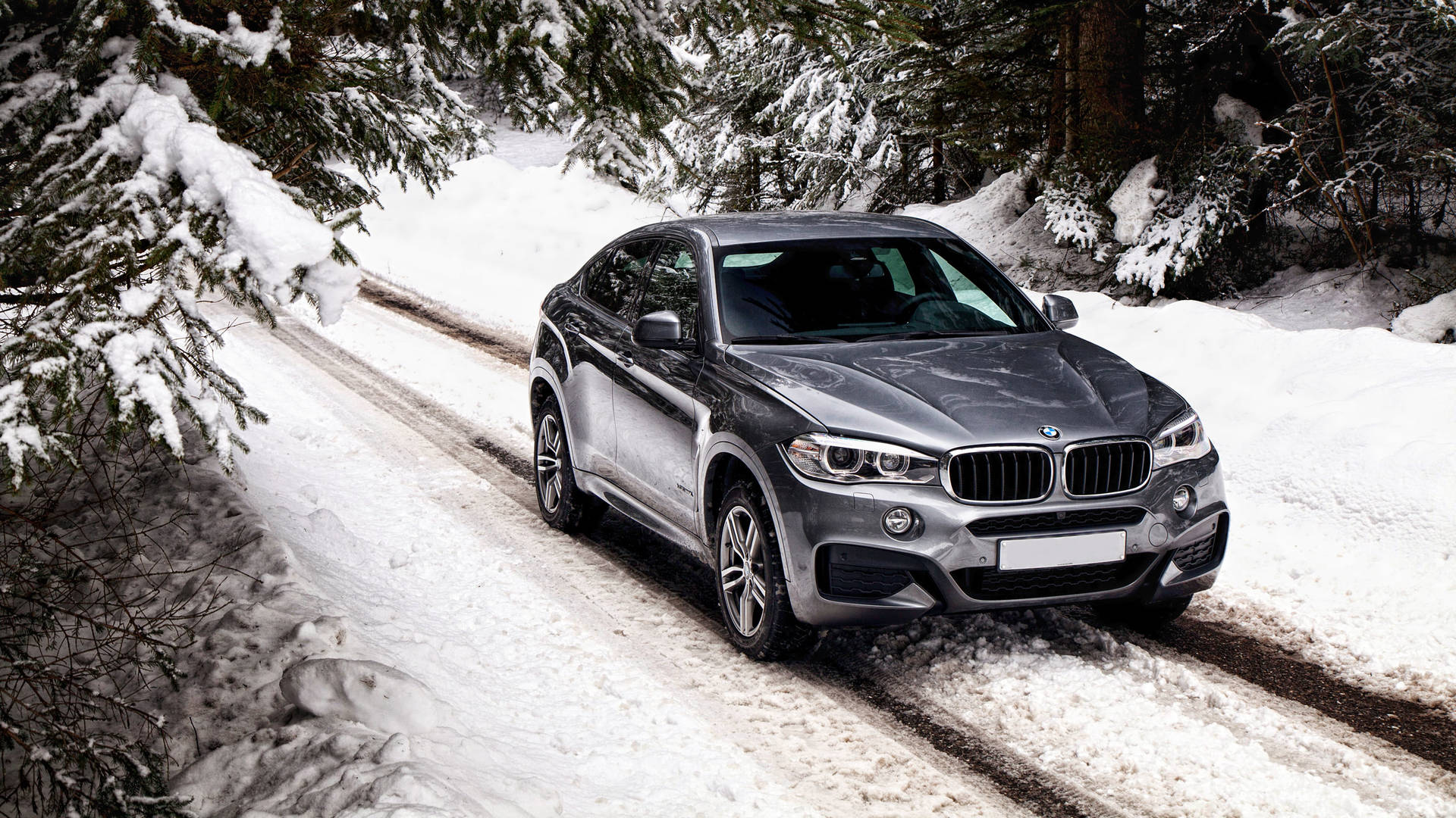 Bmw X6 M Car Generation