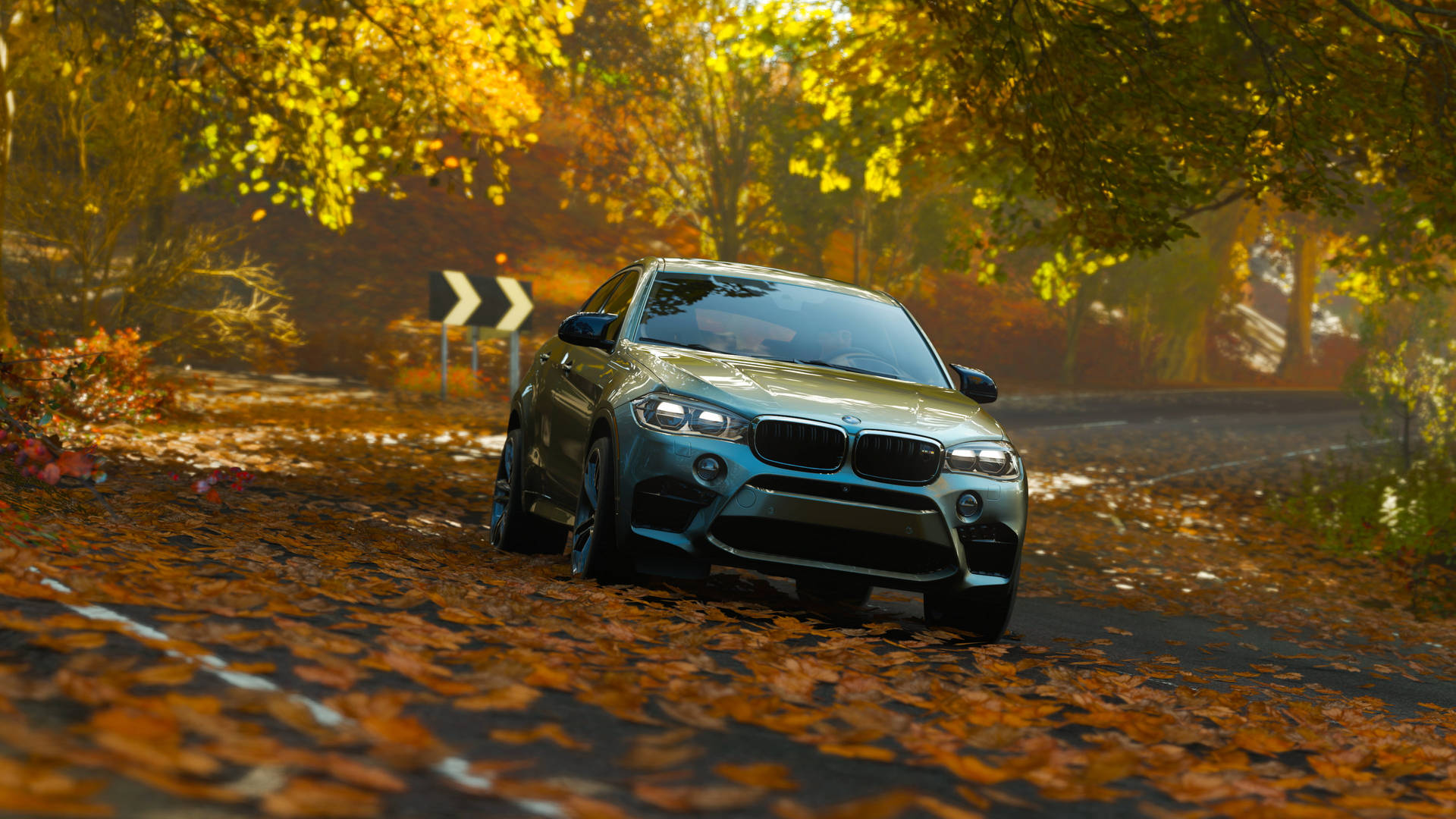 Bmw X6 M Fall Season Background