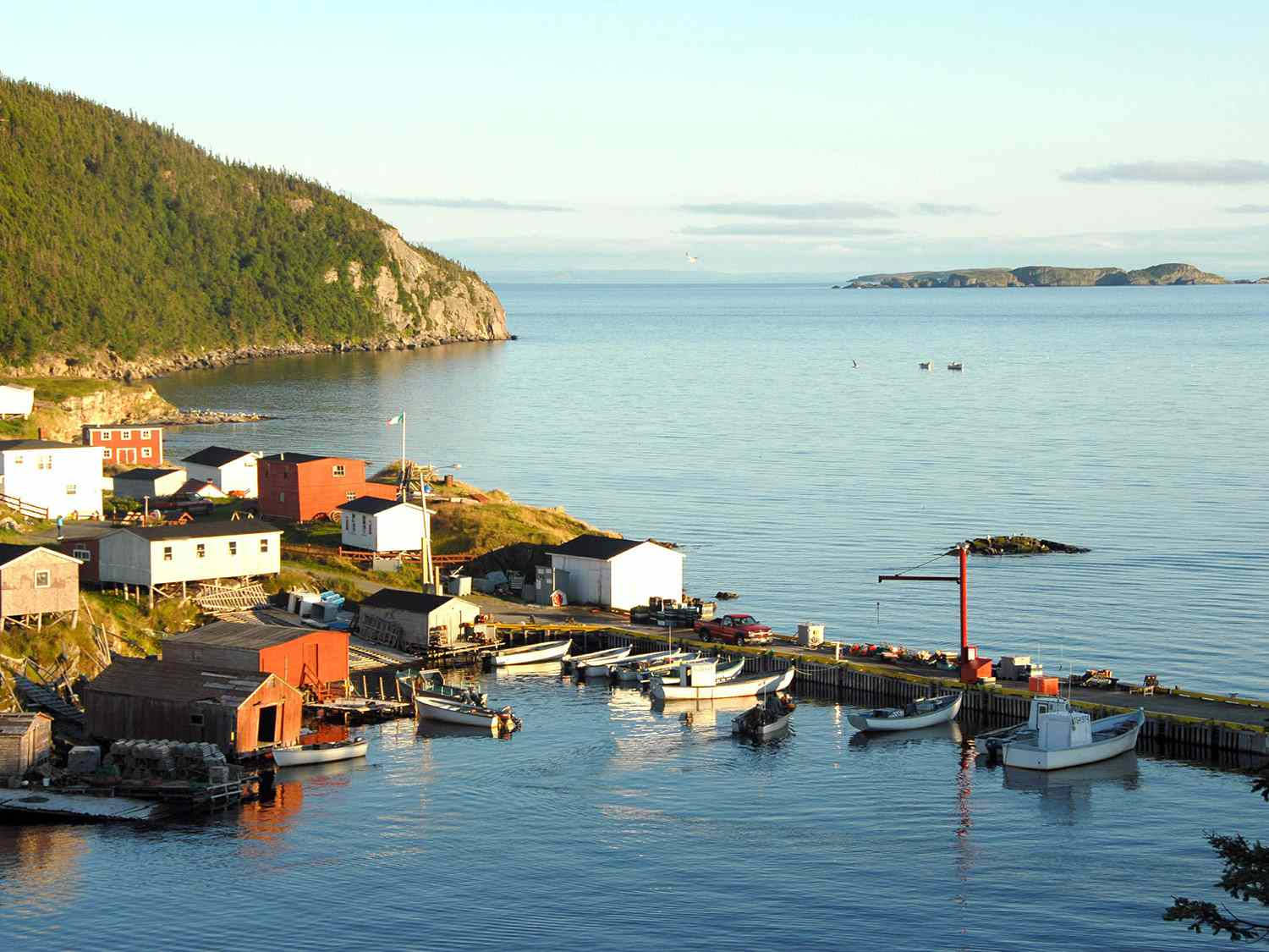 Boats Docked In Newfoundland's Coast Background