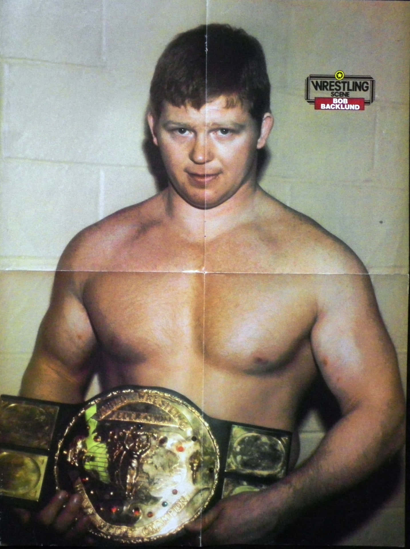 Bob Backlund Merch Poster Background