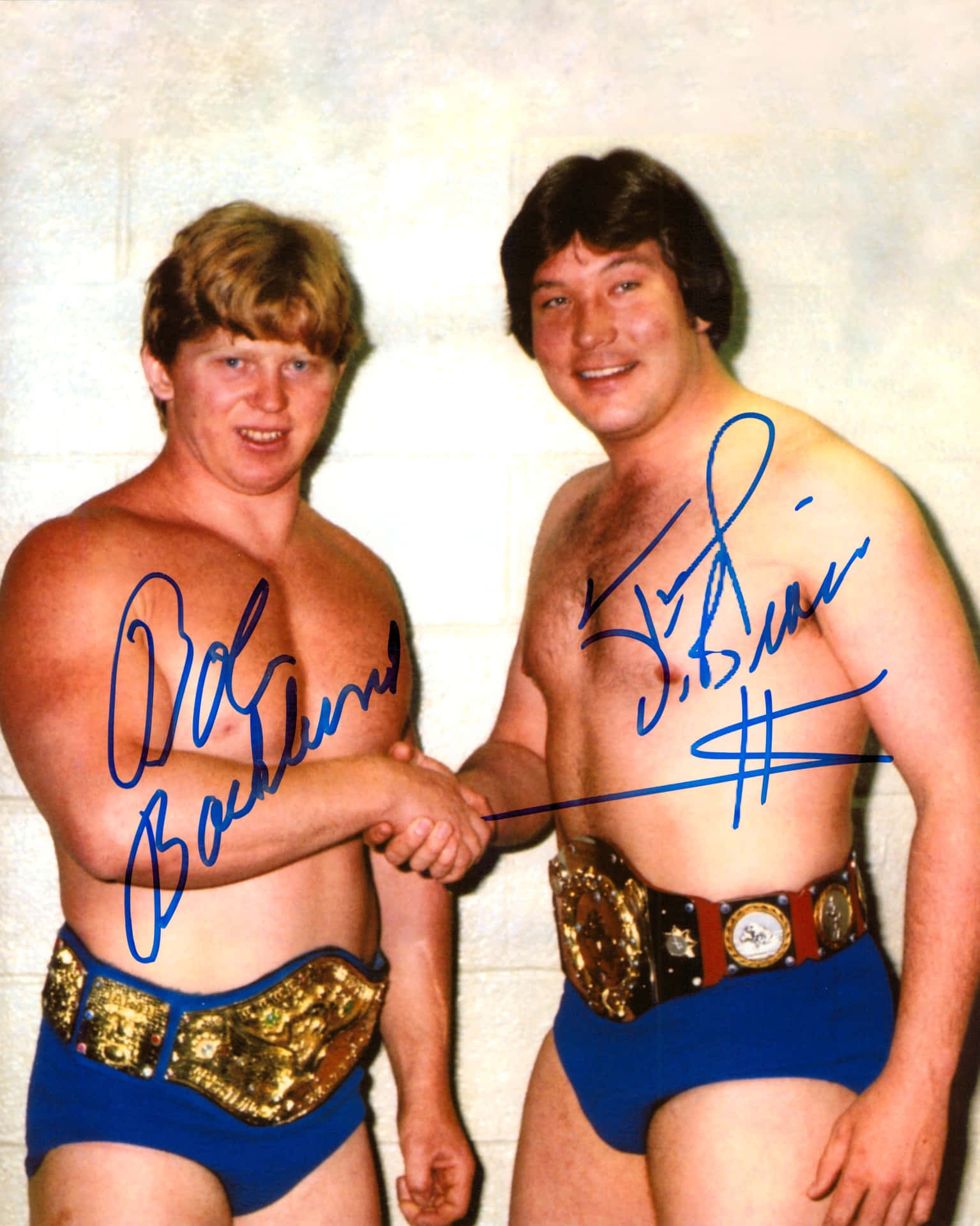 Bob Backlund Shaking Hands With Ted Dibiase Background