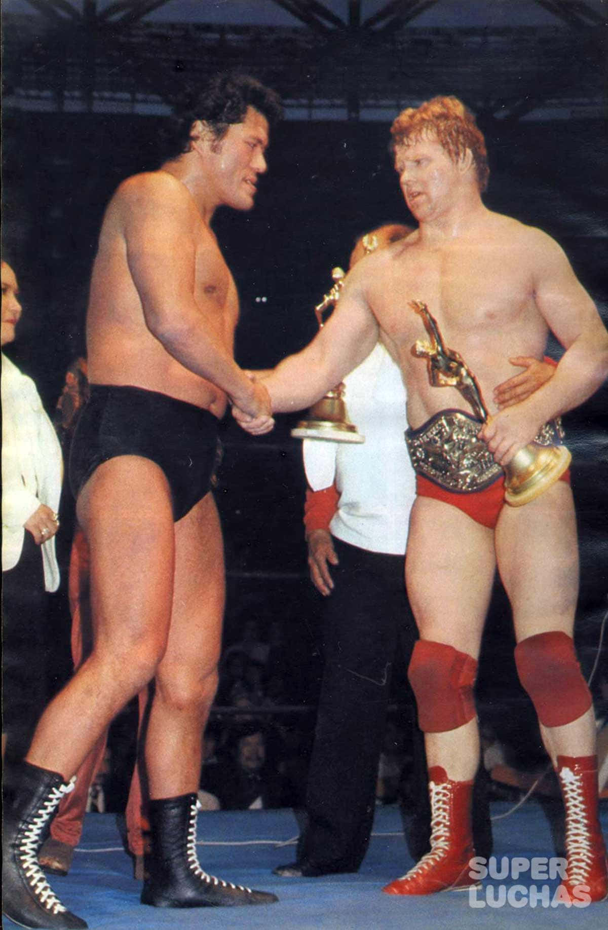 Bob Backlund Vs. Antonio Inoki Wwf Championship 1981 Background