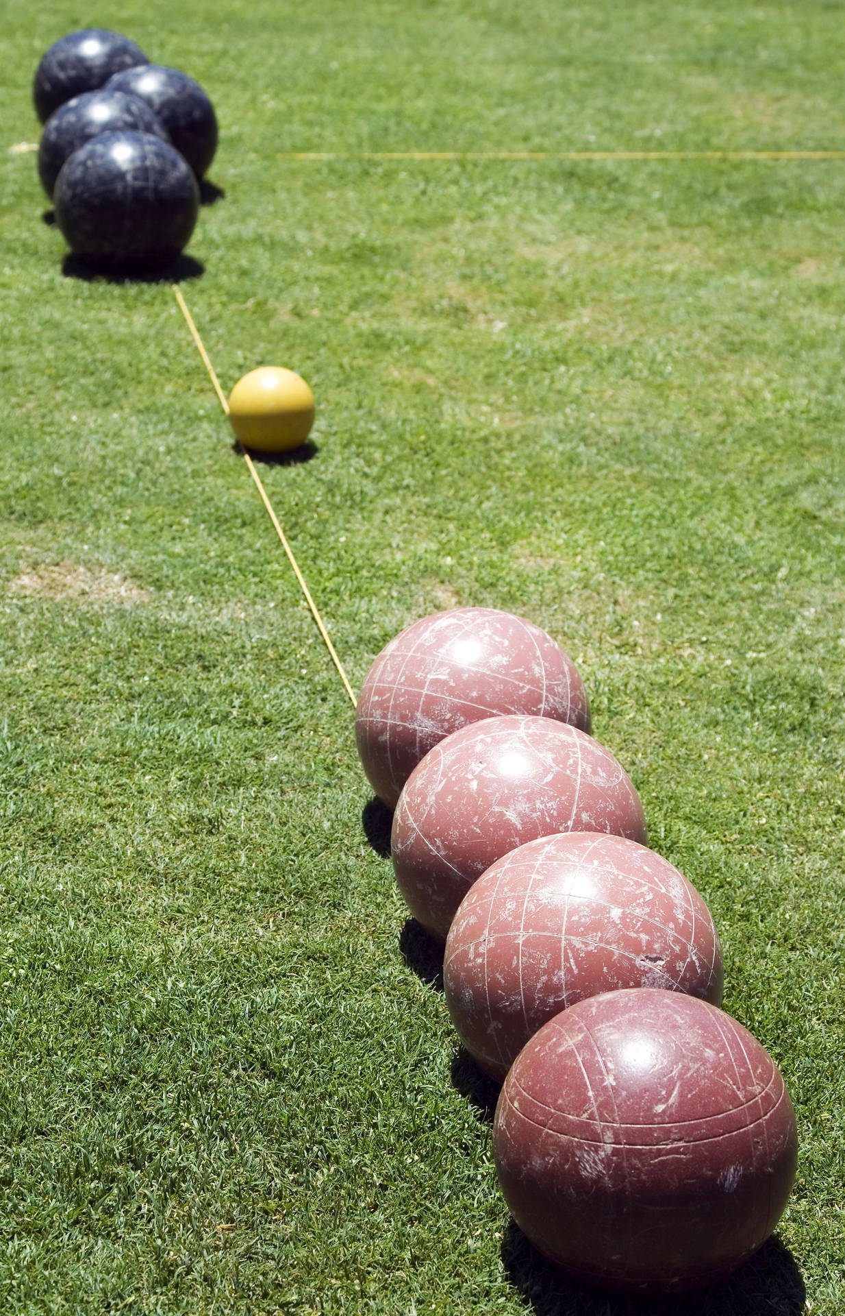 Bocce Ball Black And Brown On Grass Background