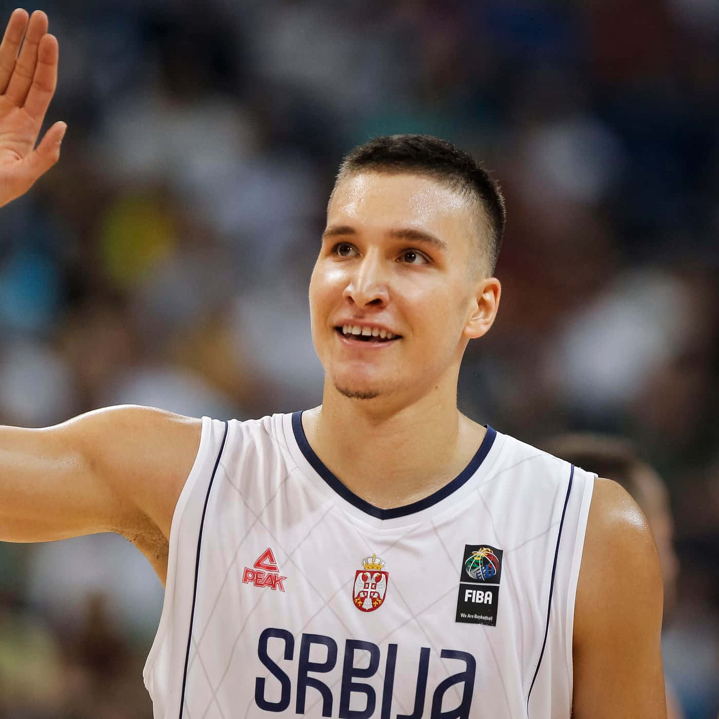 Bogdan Bogdanovic Helps Carry Serbia Background