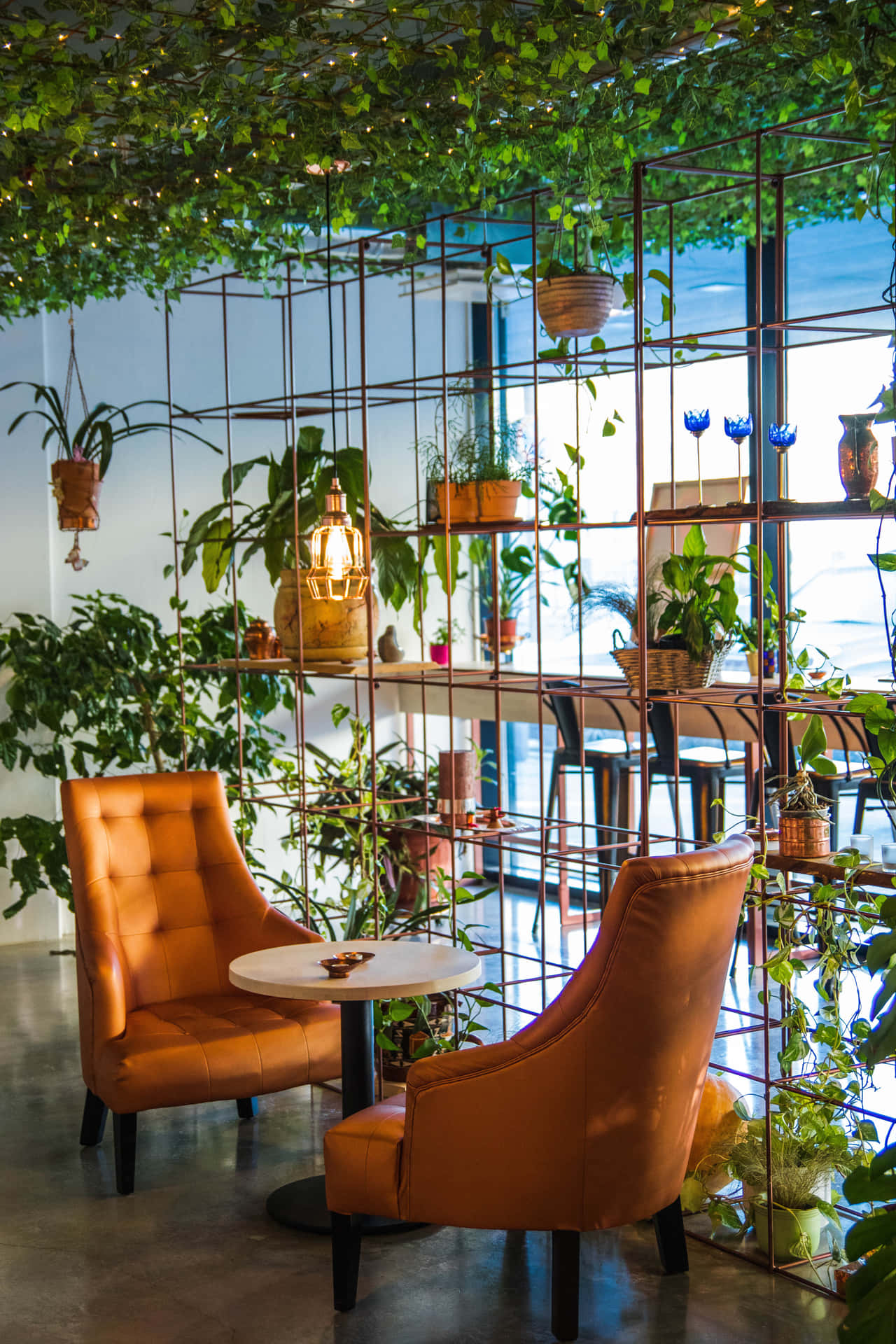 Bohemian Cafe Interior Design Background