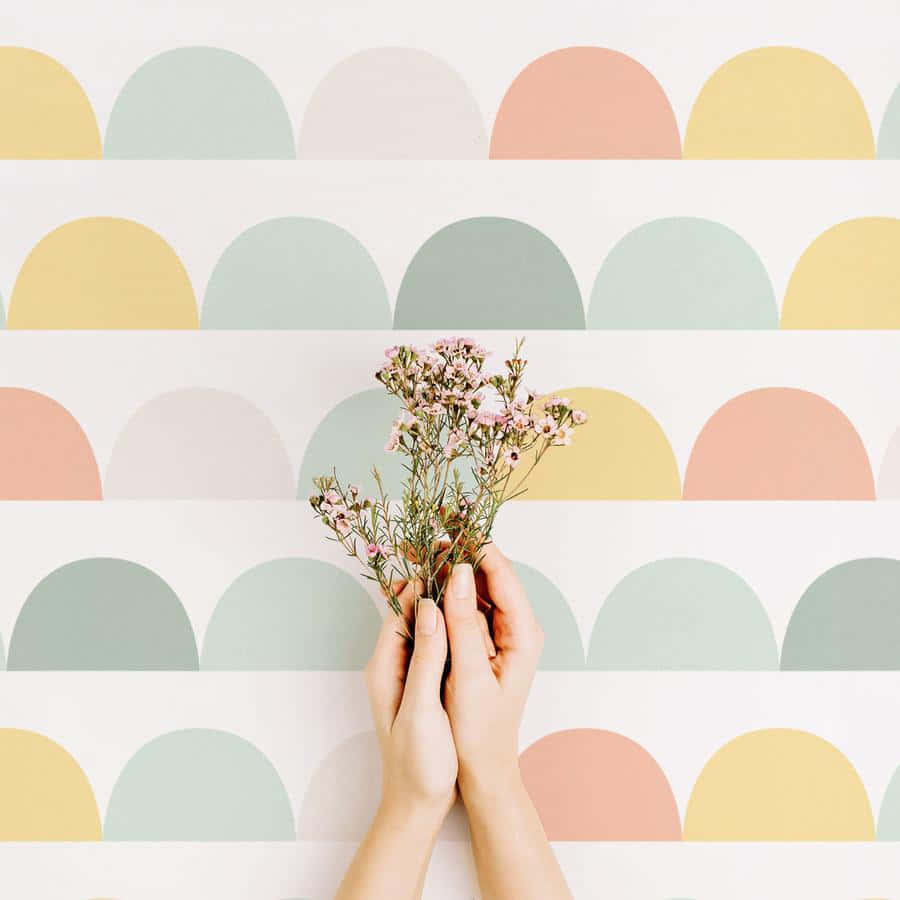 Boho Pastel Aesthetic Wall Decor Background