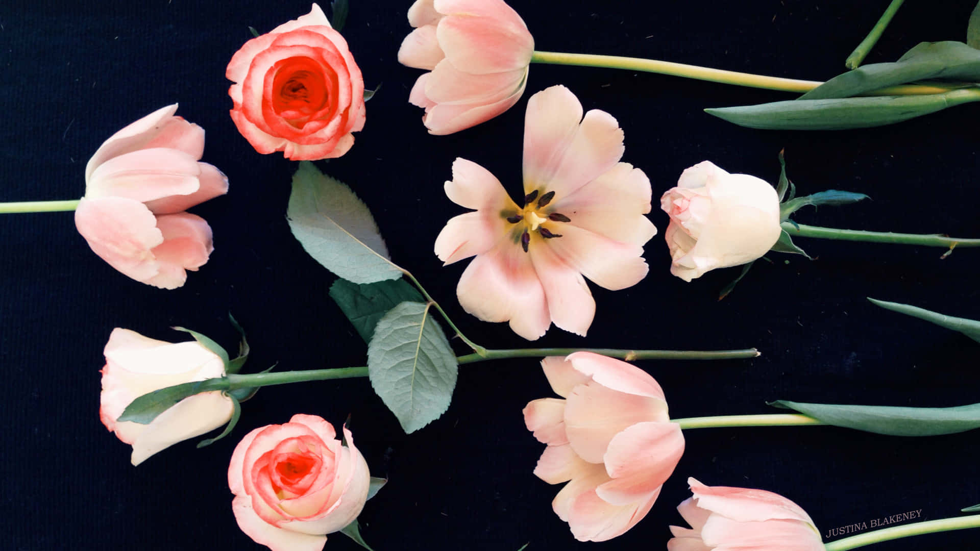 Boho Pink Floral On Black Laptop