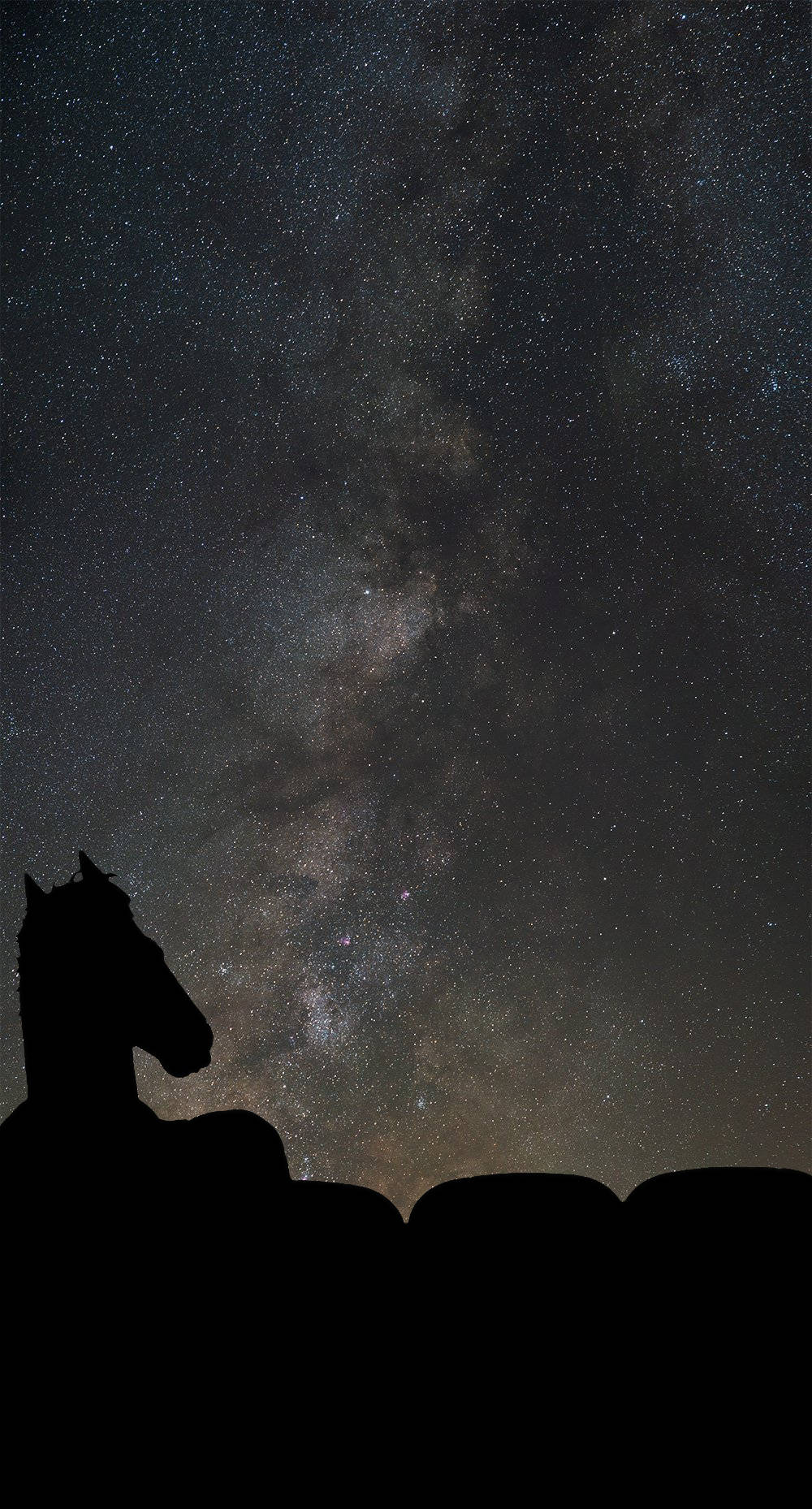 Bojack Horseman Star Gazing Background