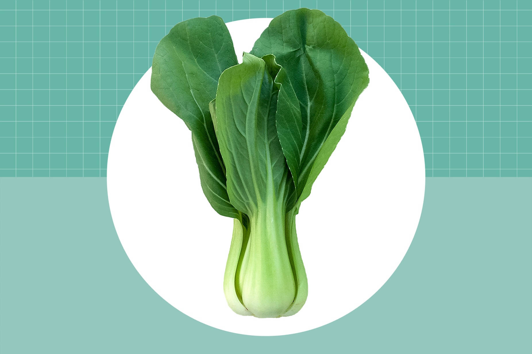 Bok Choy Cabbage Digital Art