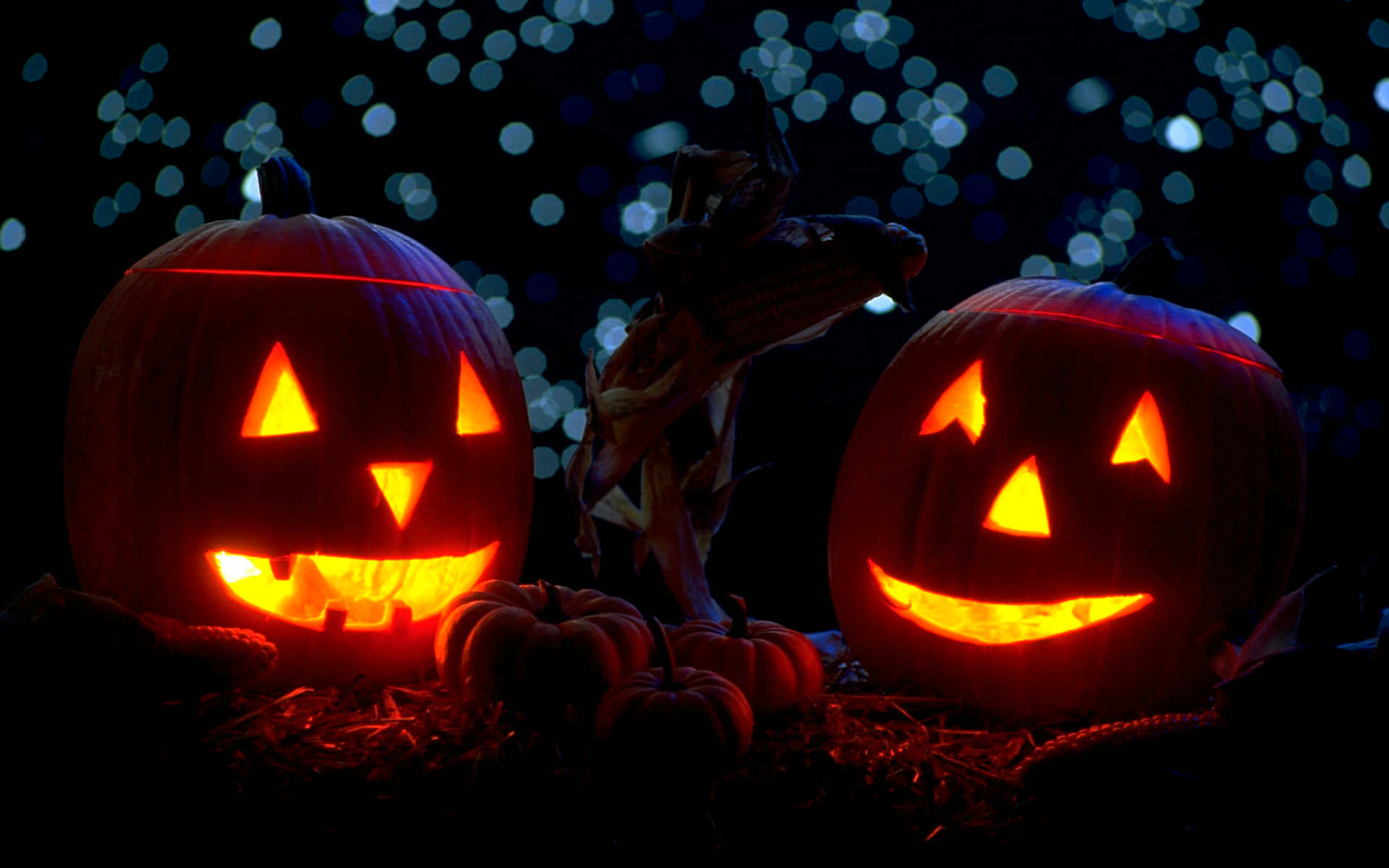 Bokeh Lights Behind Beautiful Halloween Pumpkins Background