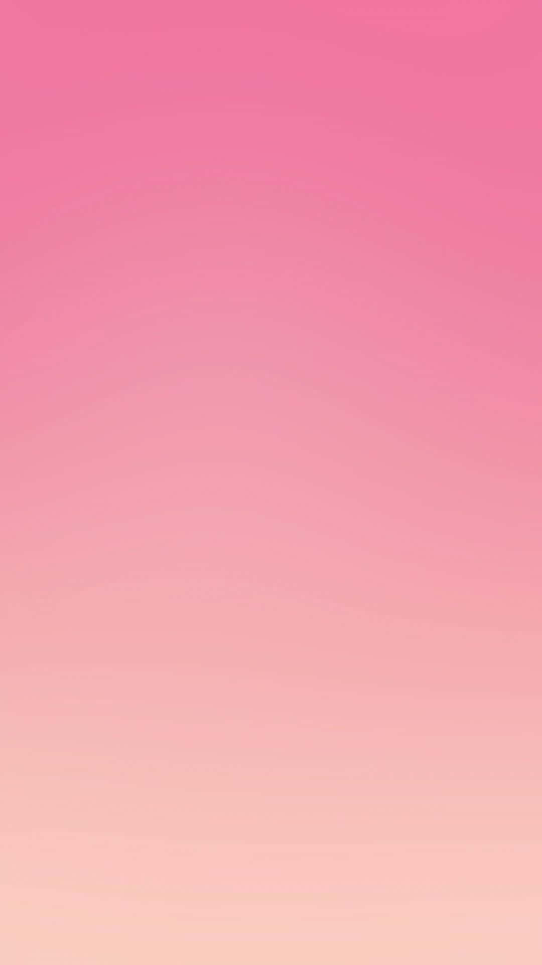 Bold And Beautiful Pink Background