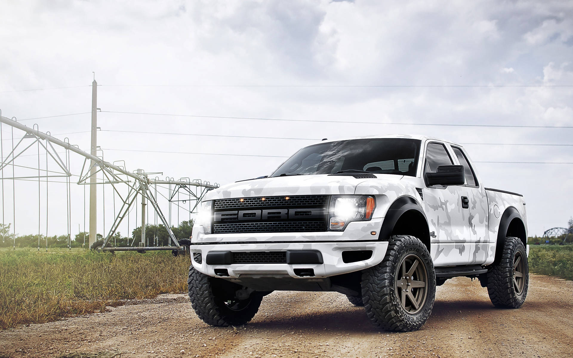 Bold And Daring - Camo Edition Ford Raptor