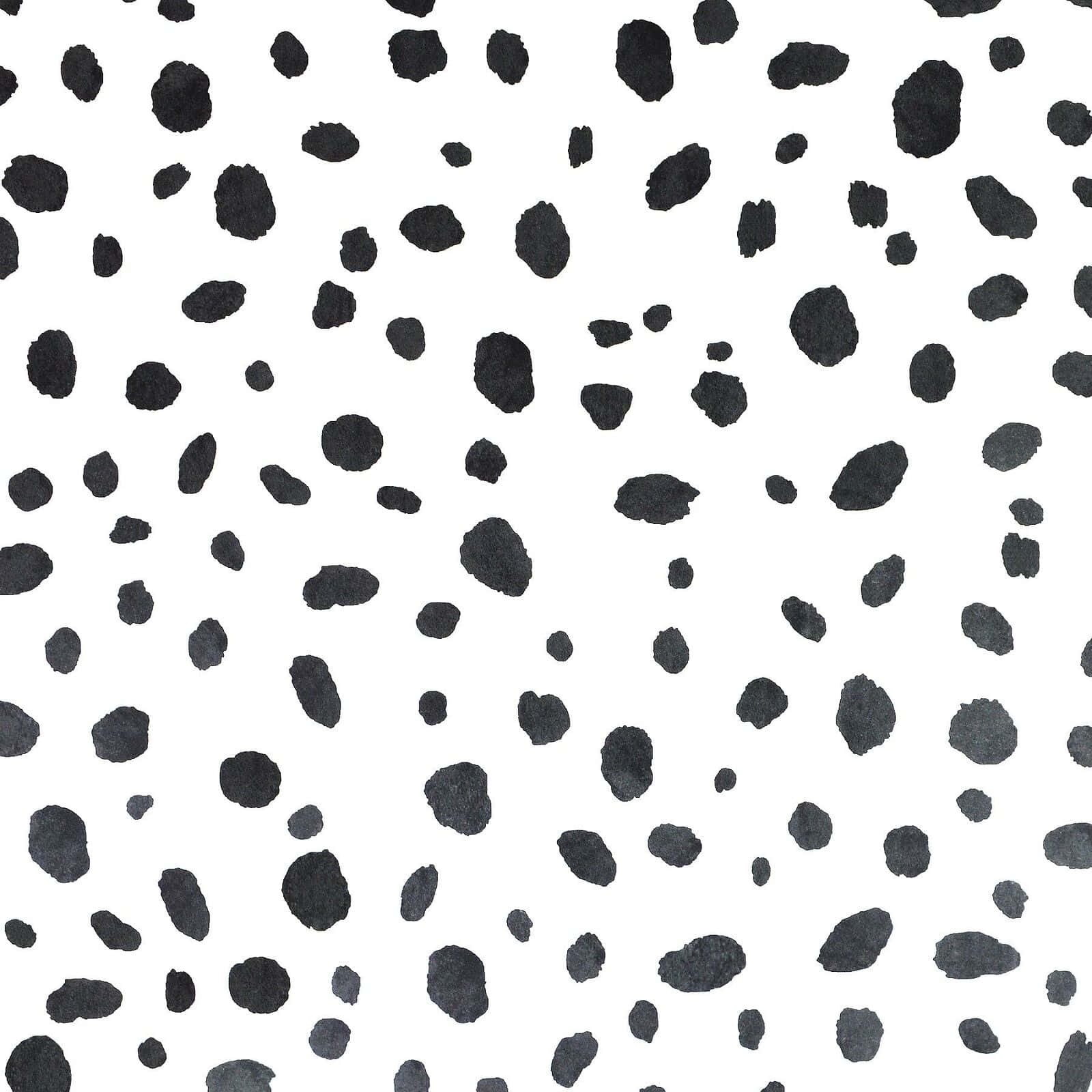 Bold Black And White Animal Print Wallpaper Background