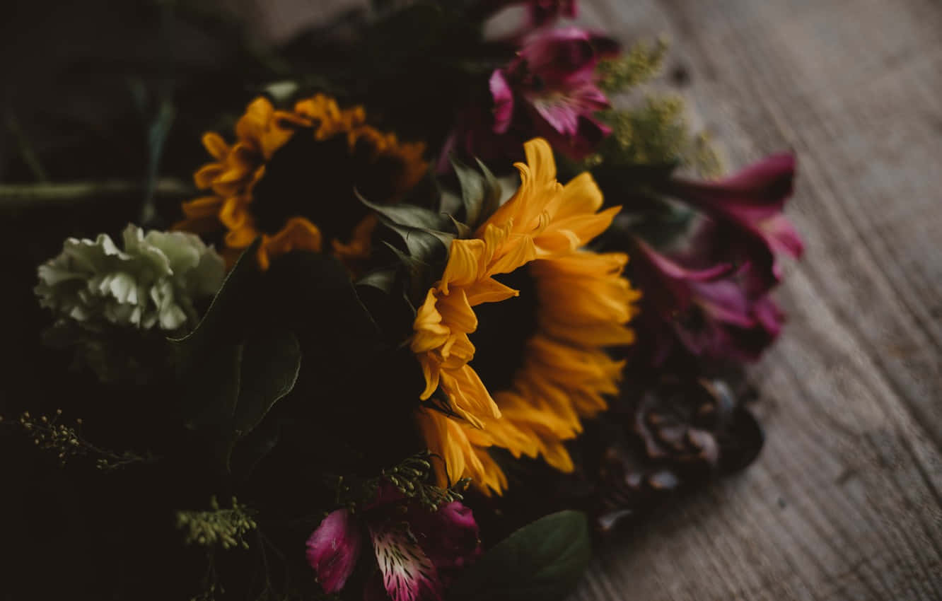 Bold, Unique Dark Sunflower Background