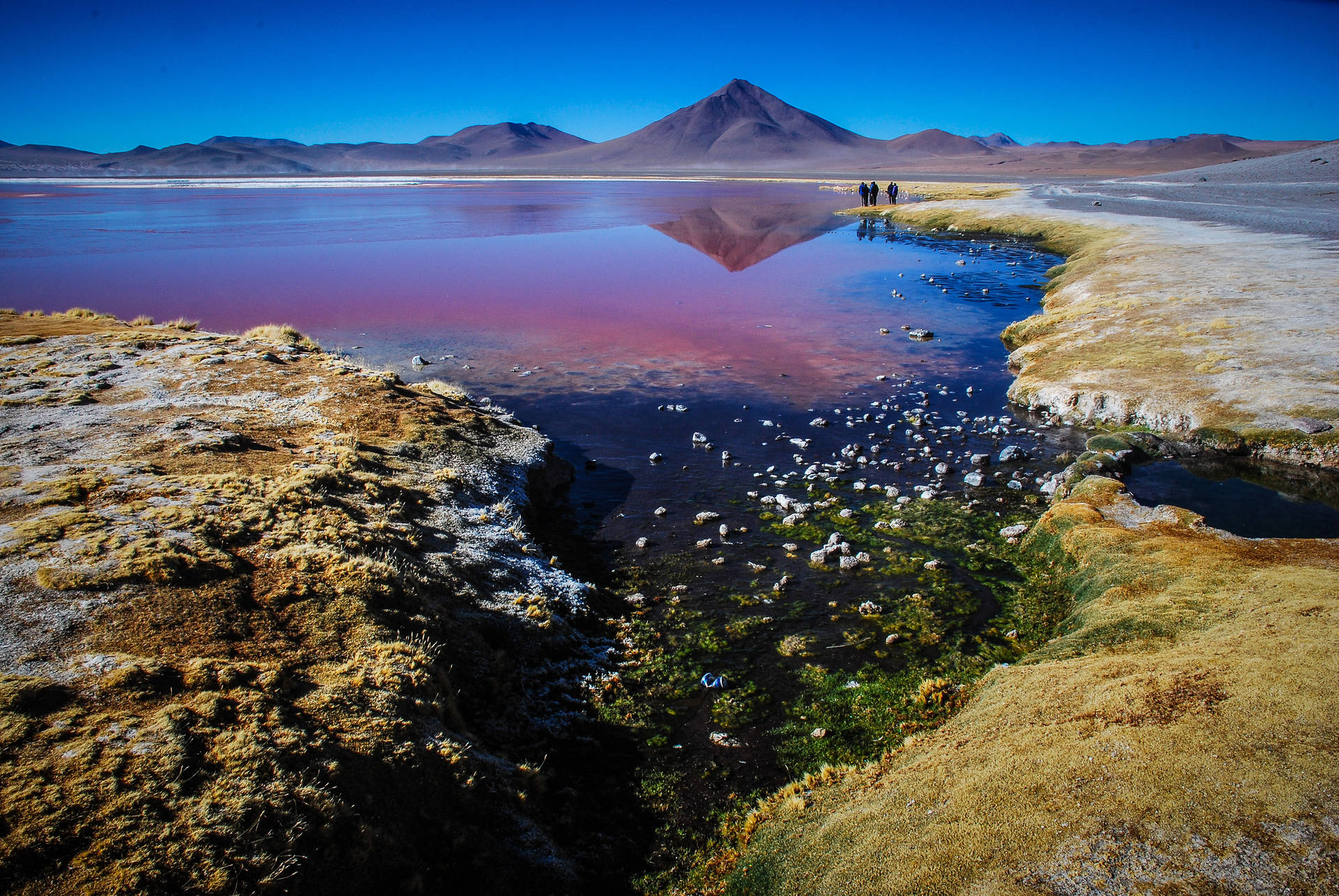 Bolivia Altiplano Lake Background