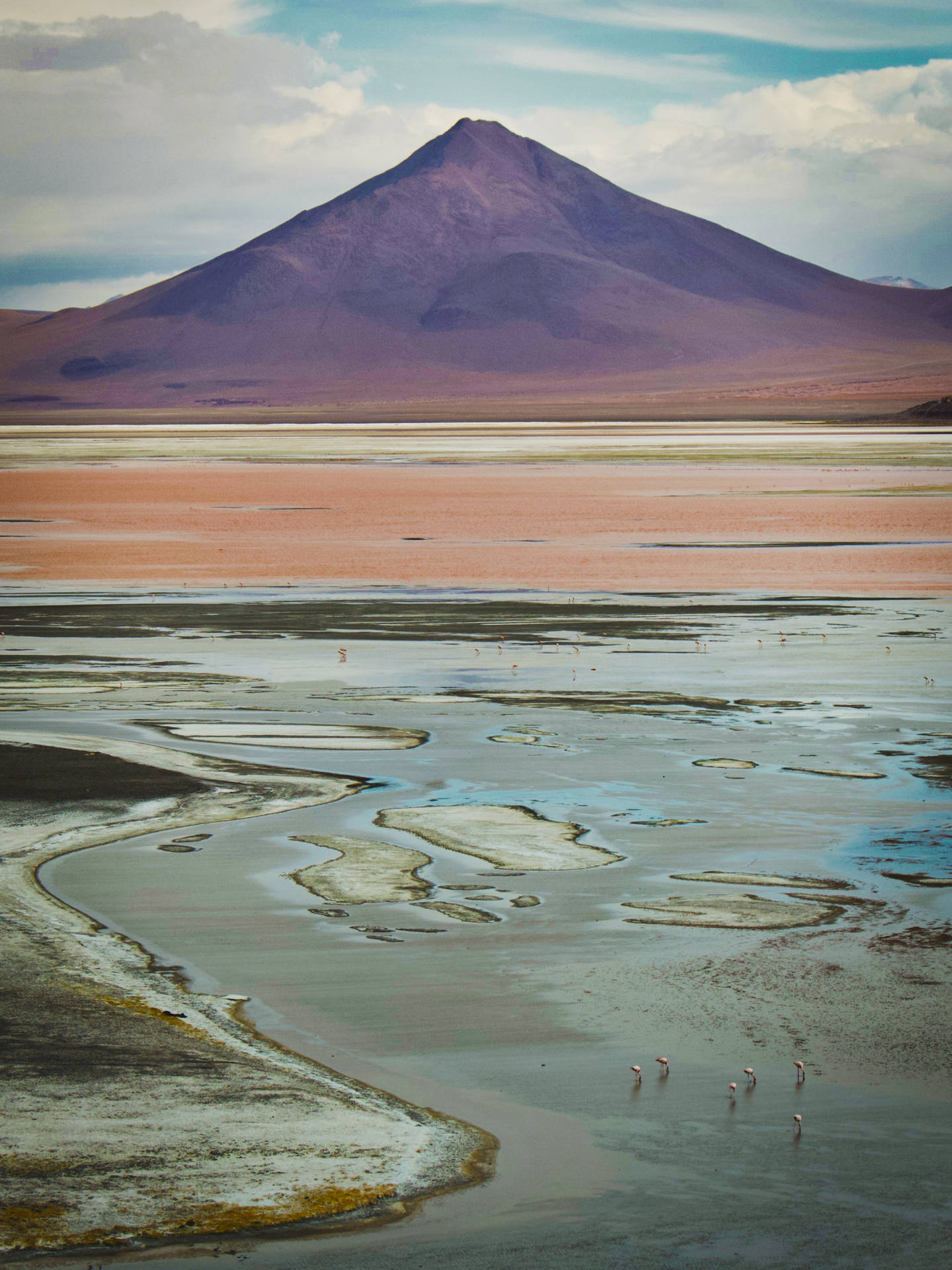 Bolivia Laguna Colorada Pink Lake Background